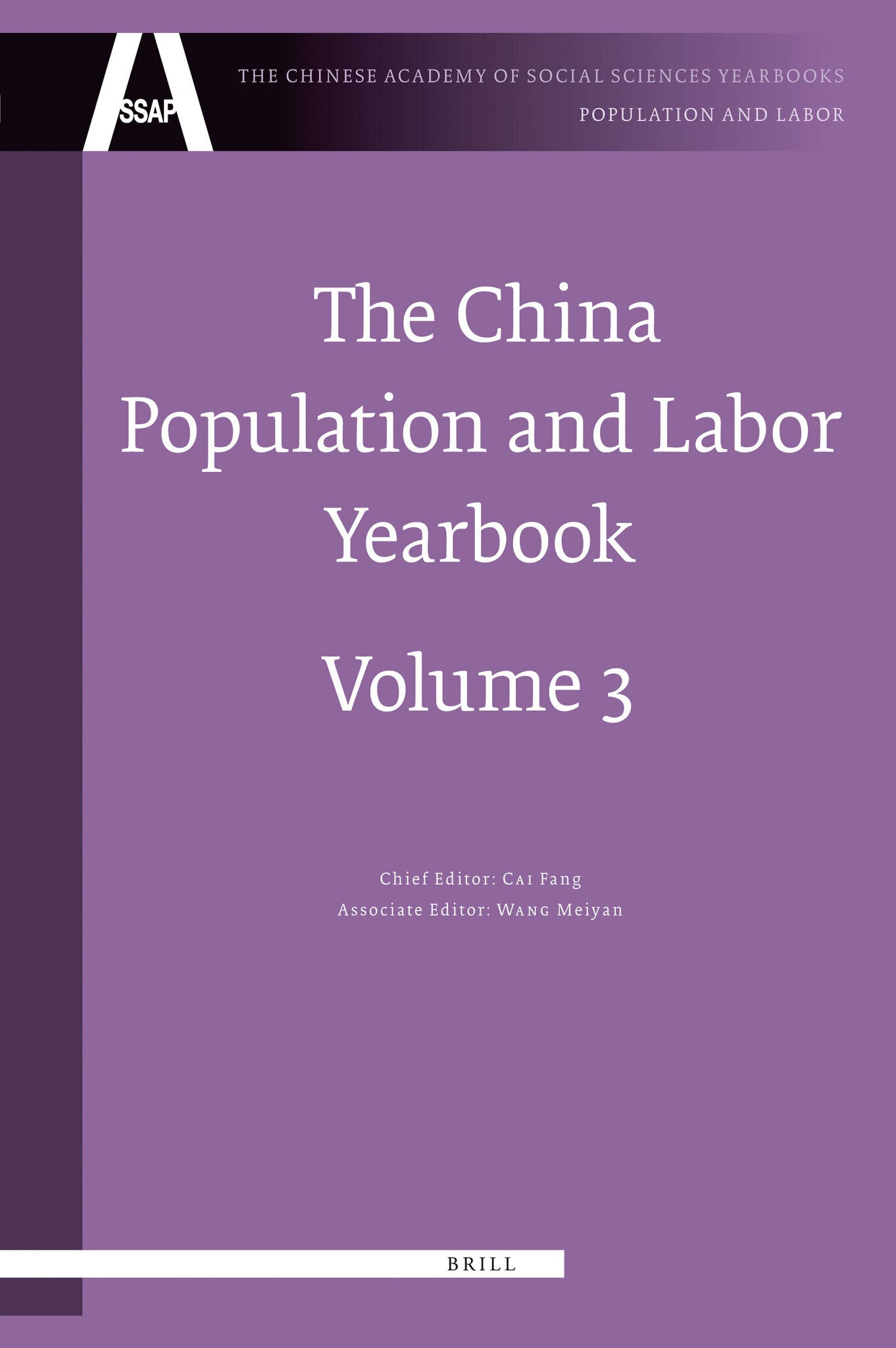 Cover image for The China Population and Labor Yearbook, Volume 3 ISBN 9789004182448