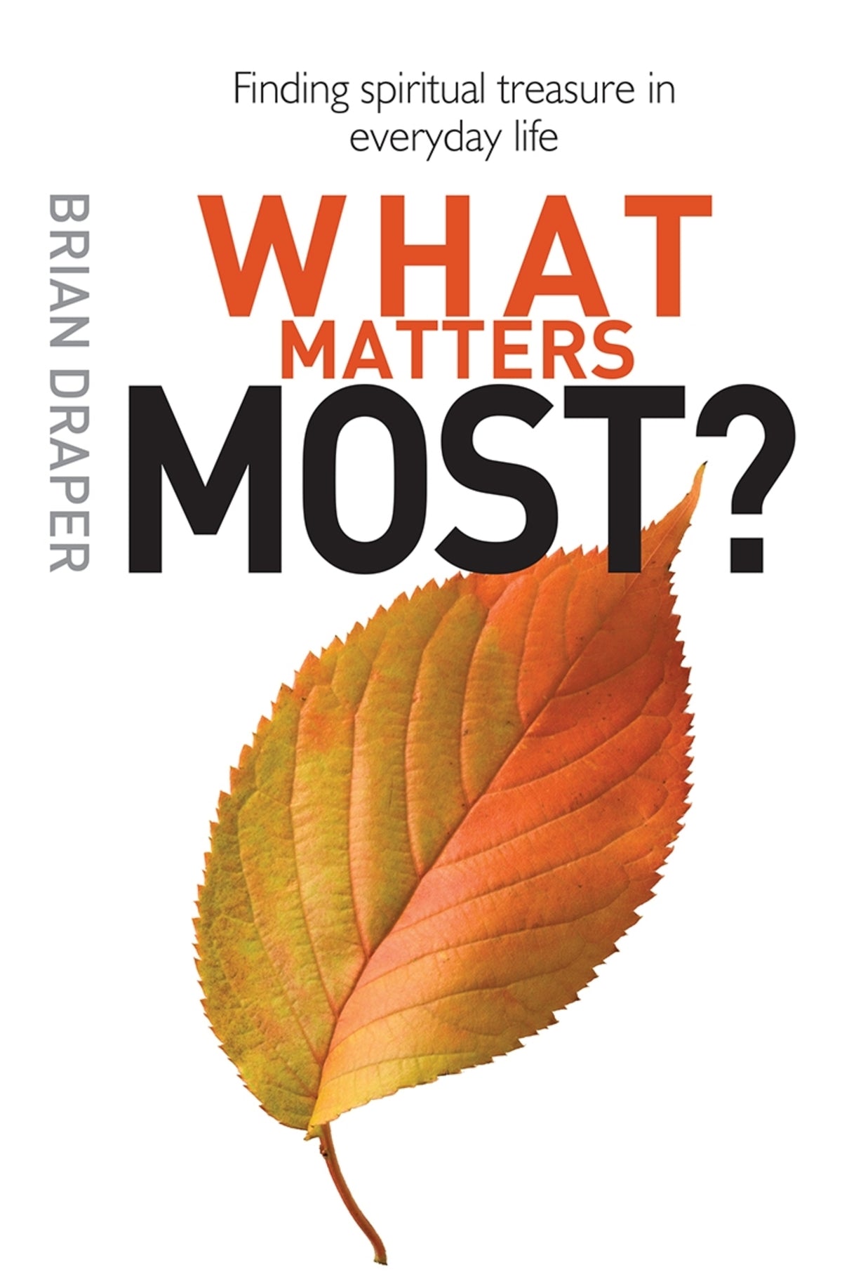 Cover image for What Matters Most ISBN 9780745956541