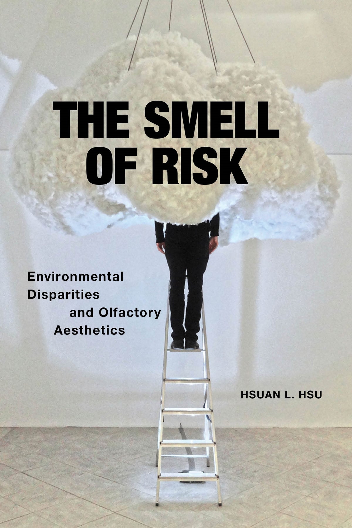 Cover image for The Smell of Risk ISBN 9781479810093