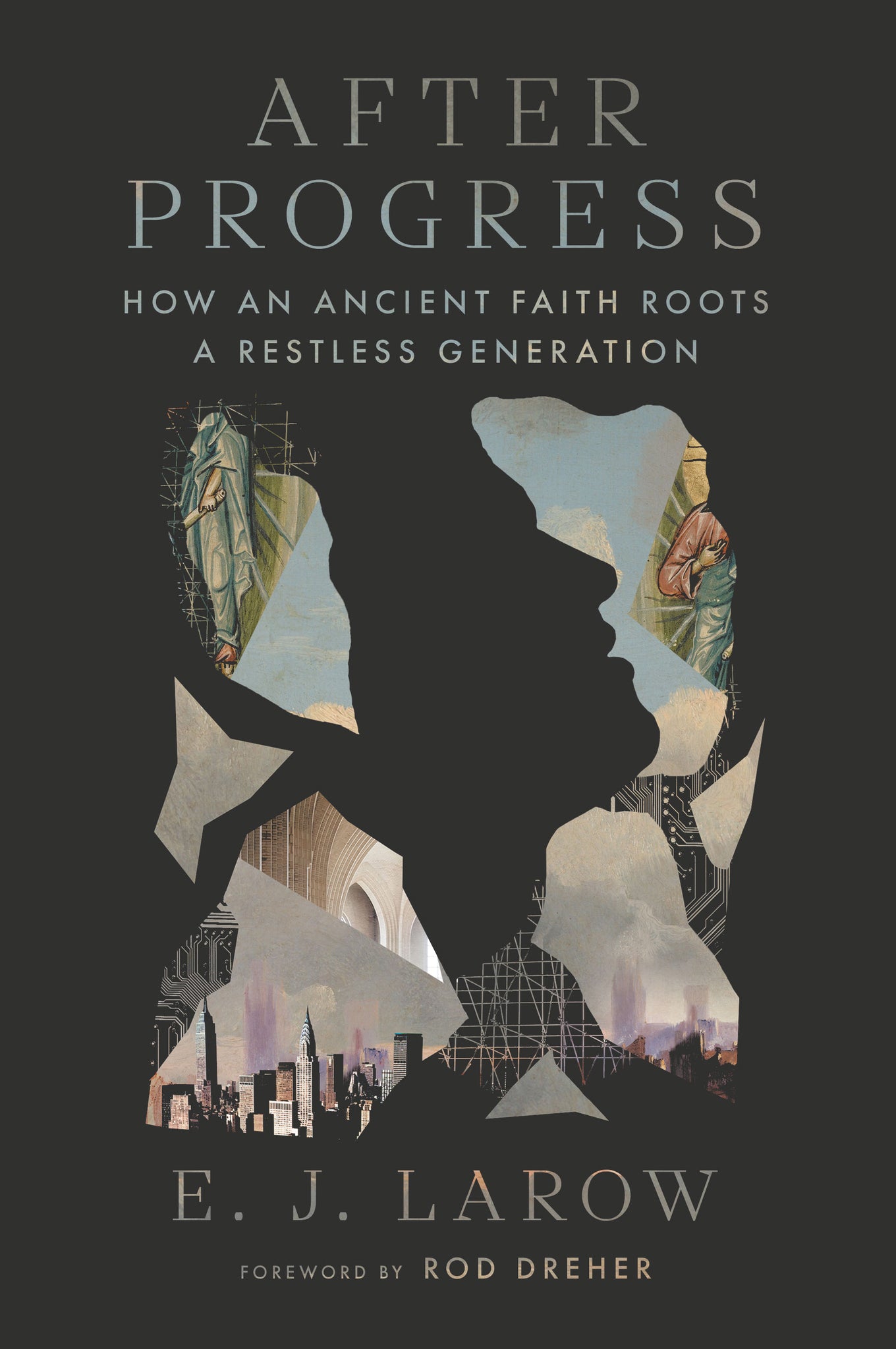 Cover image for After Progress ISBN 9781641775588