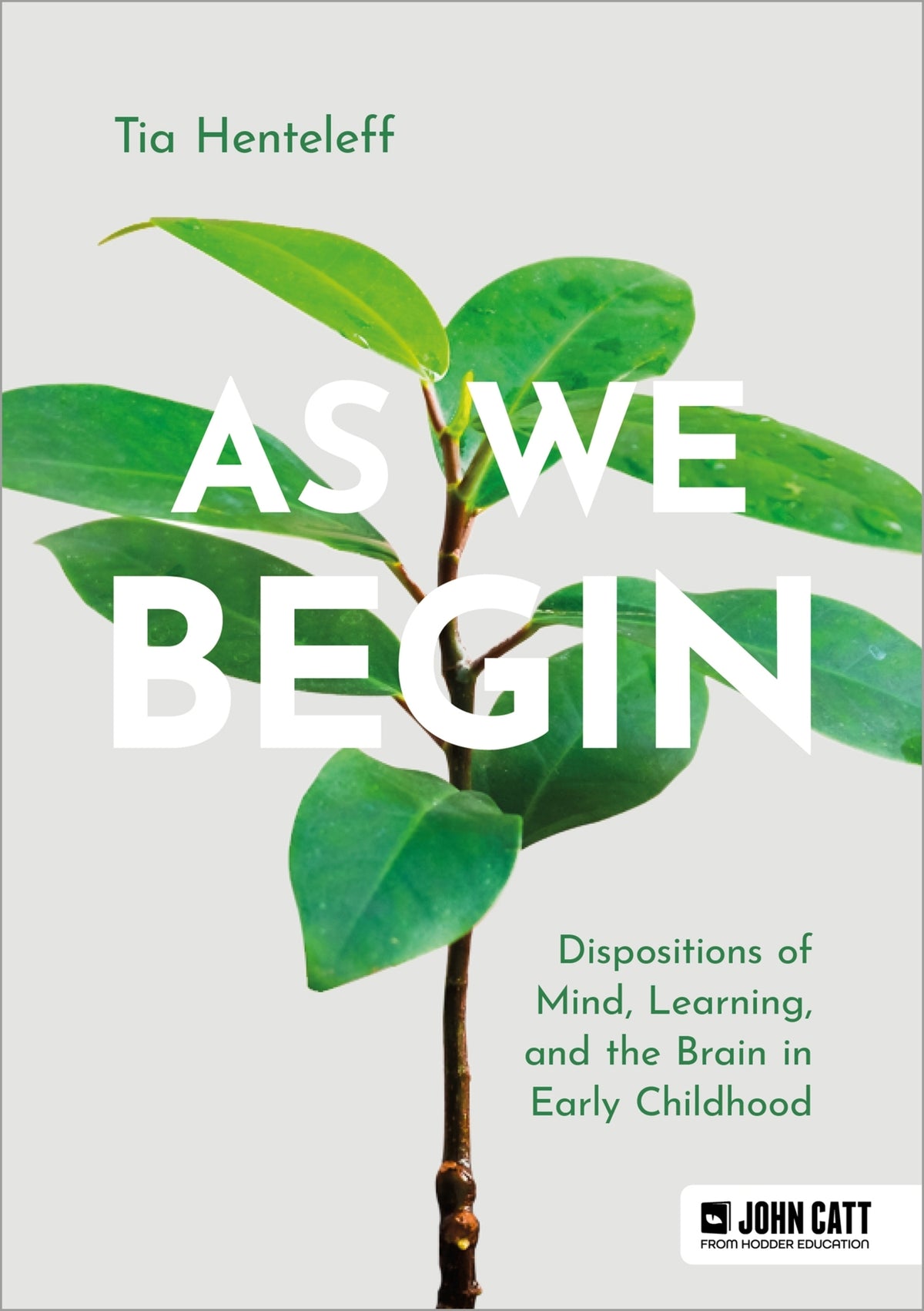 Cover image for As We Begin: Dispositions of Mind, Learning, and the Brain in Early Childhood ISBN 9781398369436