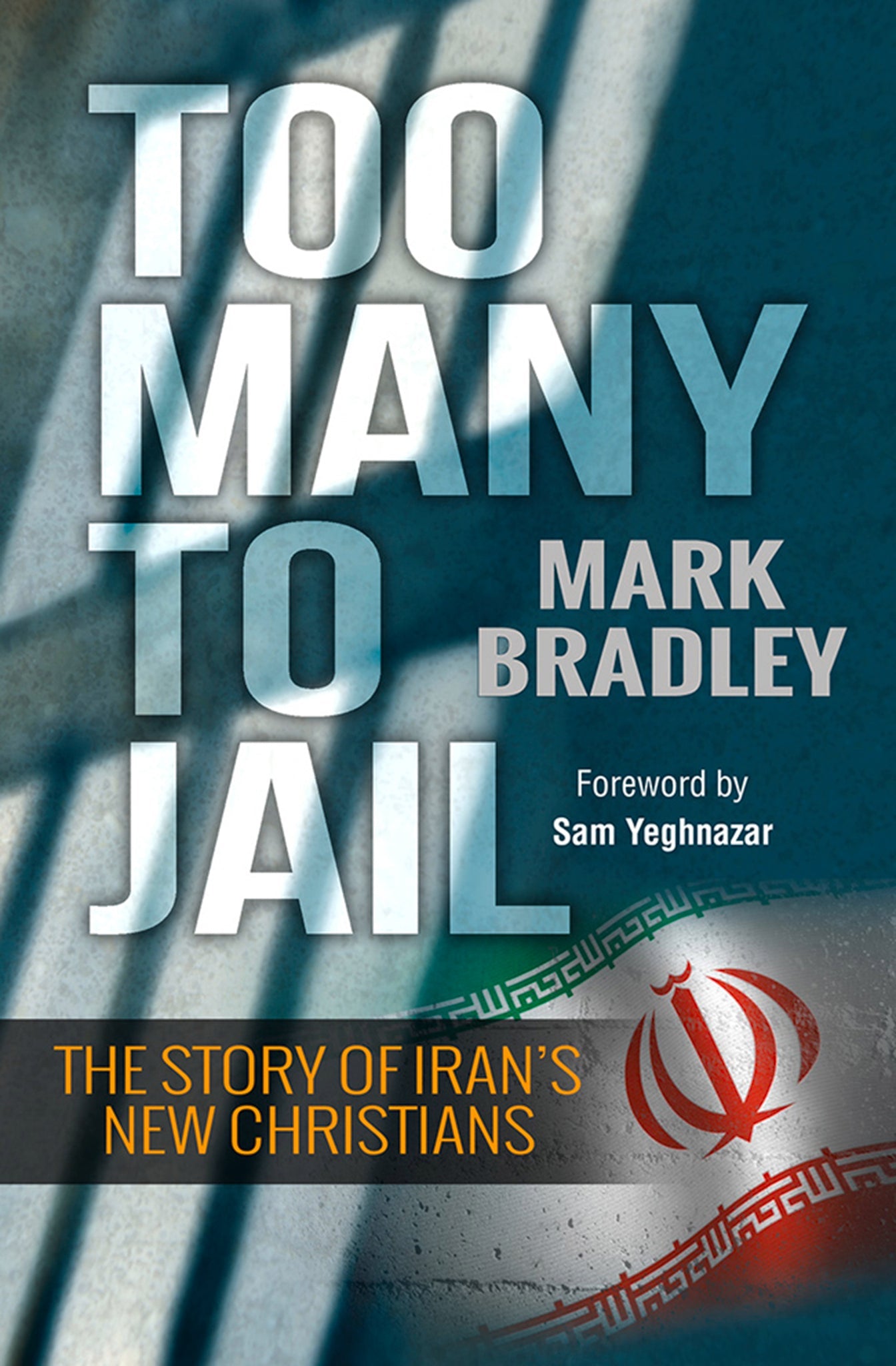 Cover image for Too Many to Jail ISBN 9780857215963