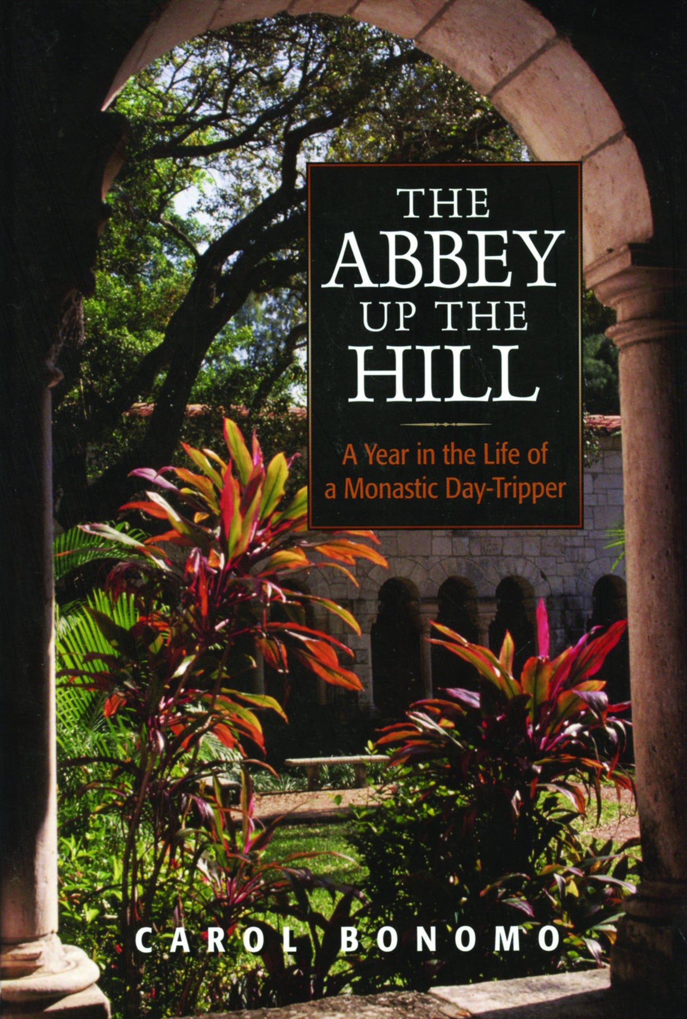 Cover image for The Abbey Up the Hill ISBN 9780819219121
