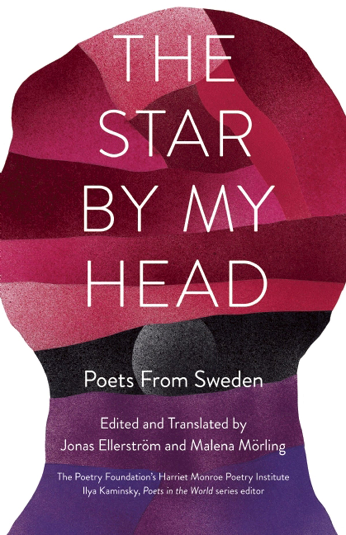 Cover image for The Star By My Head ISBN 9781571314611