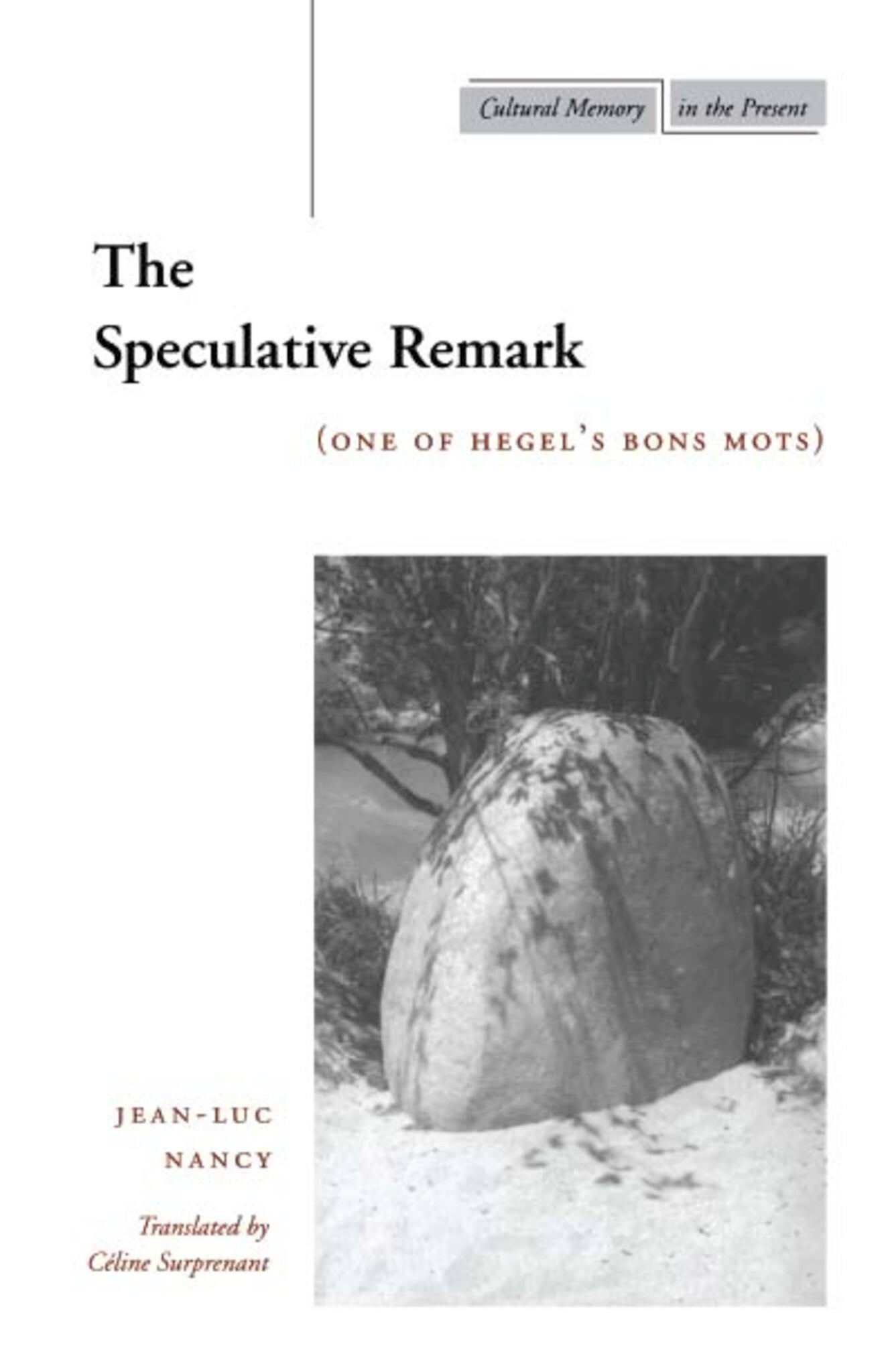 Cover image for The Speculative Remark ISBN 9780804737135