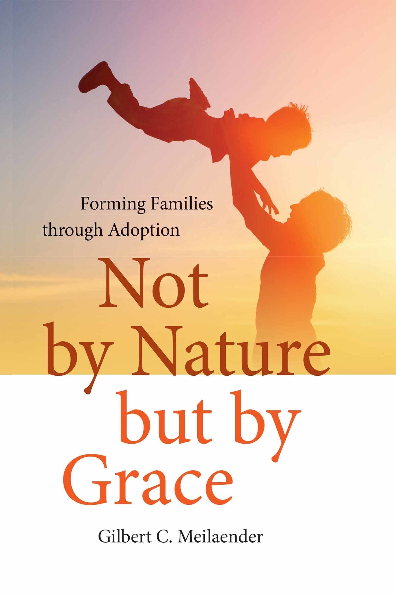 Cover image for Not by Nature but by Grace ISBN 9780268100704