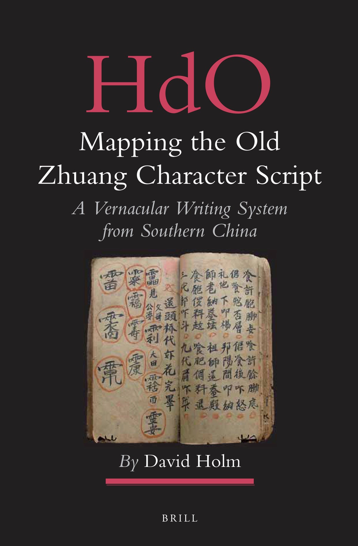 Cover image for Mapping the Old Zhuang Character Script ISBN 9789004223691