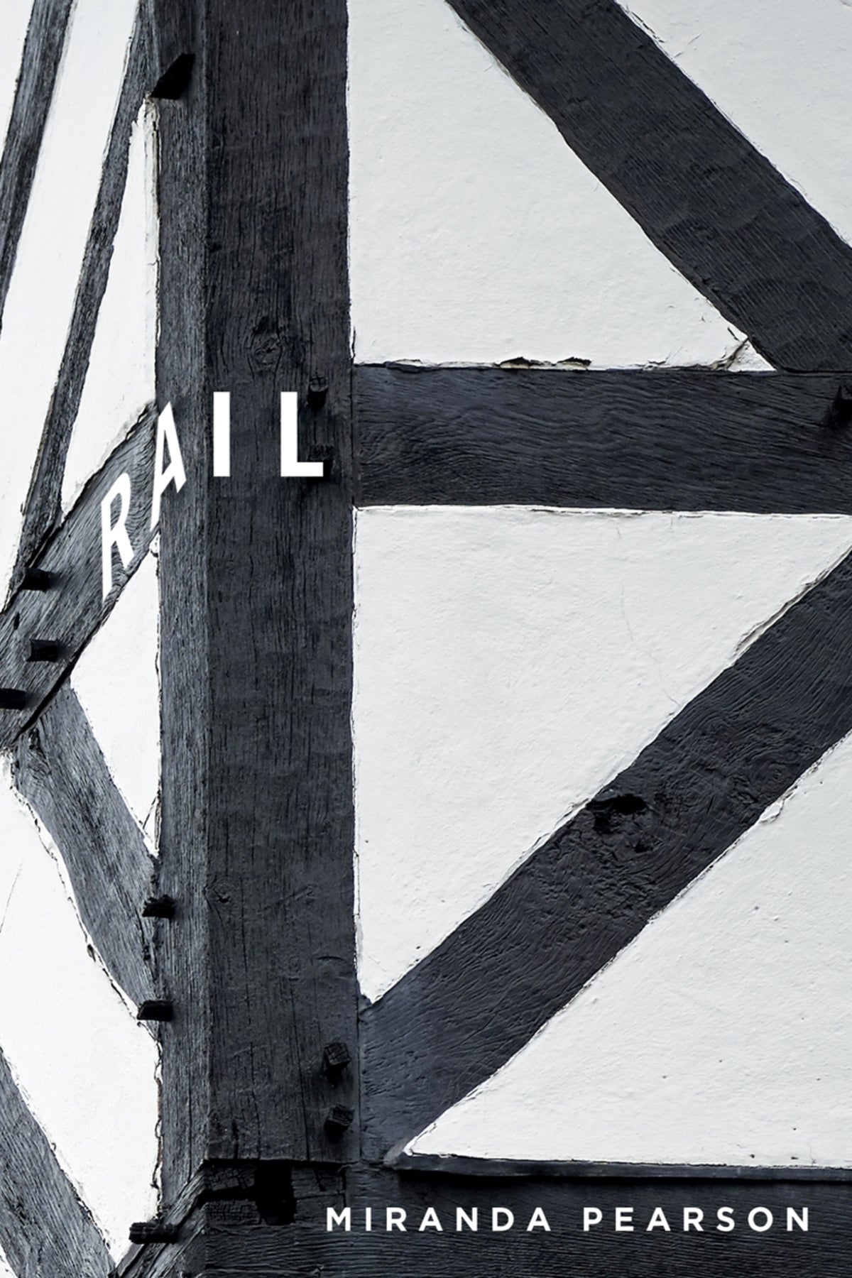Cover image for Rail ISBN 9780773558946