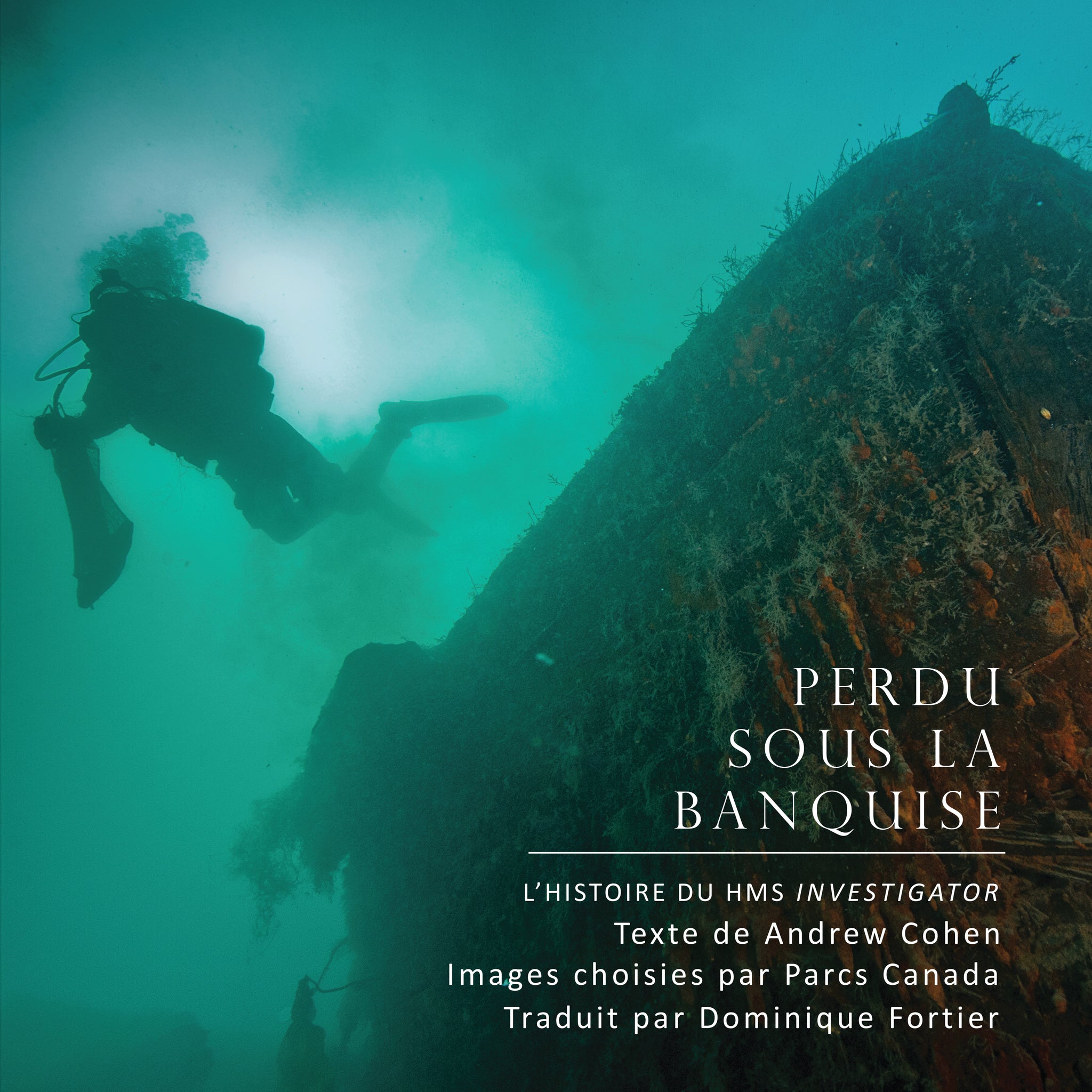 Cover image for Perdu sous la banquise ISBN 9781459719620