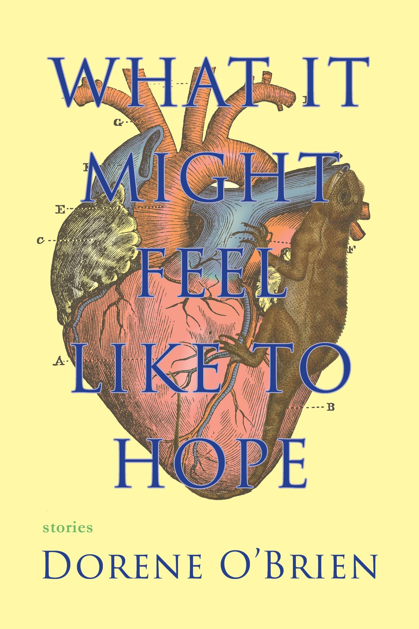 Cover image for What It Might Feel Like To Hope ISBN 9781936097319