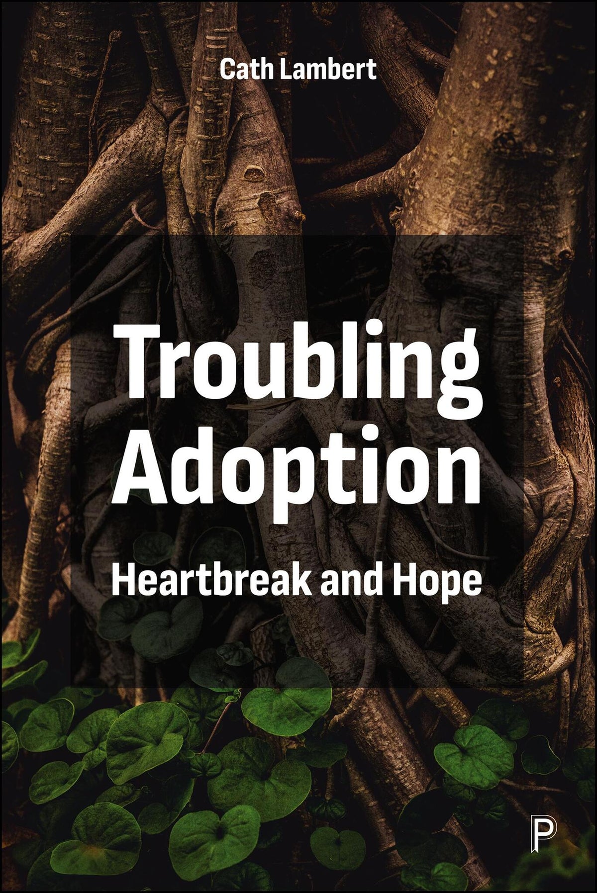 Cover image for Troubling Adoption ISBN 9781447371946