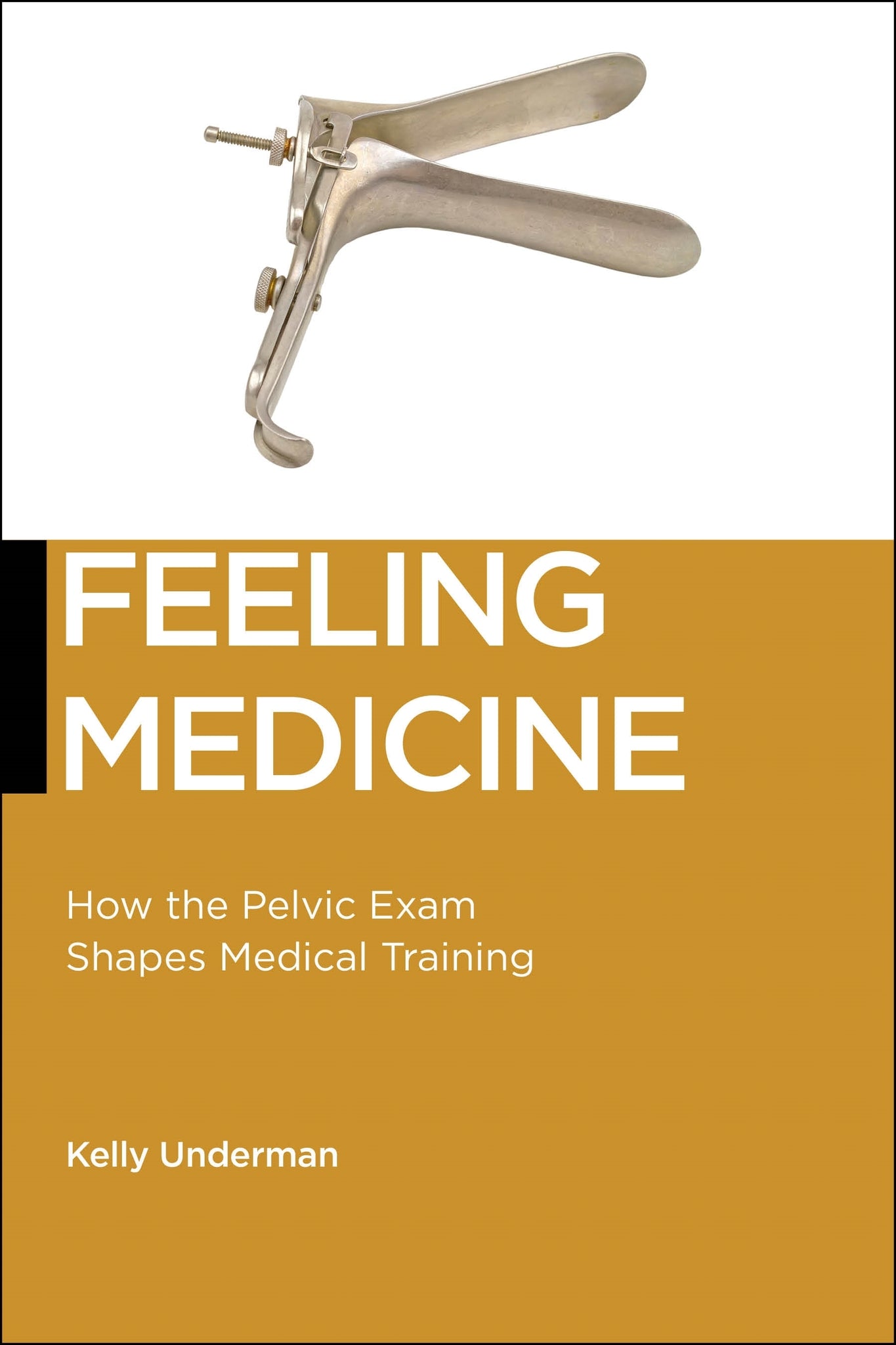 Cover image for Feeling Medicine ISBN 9781479893041