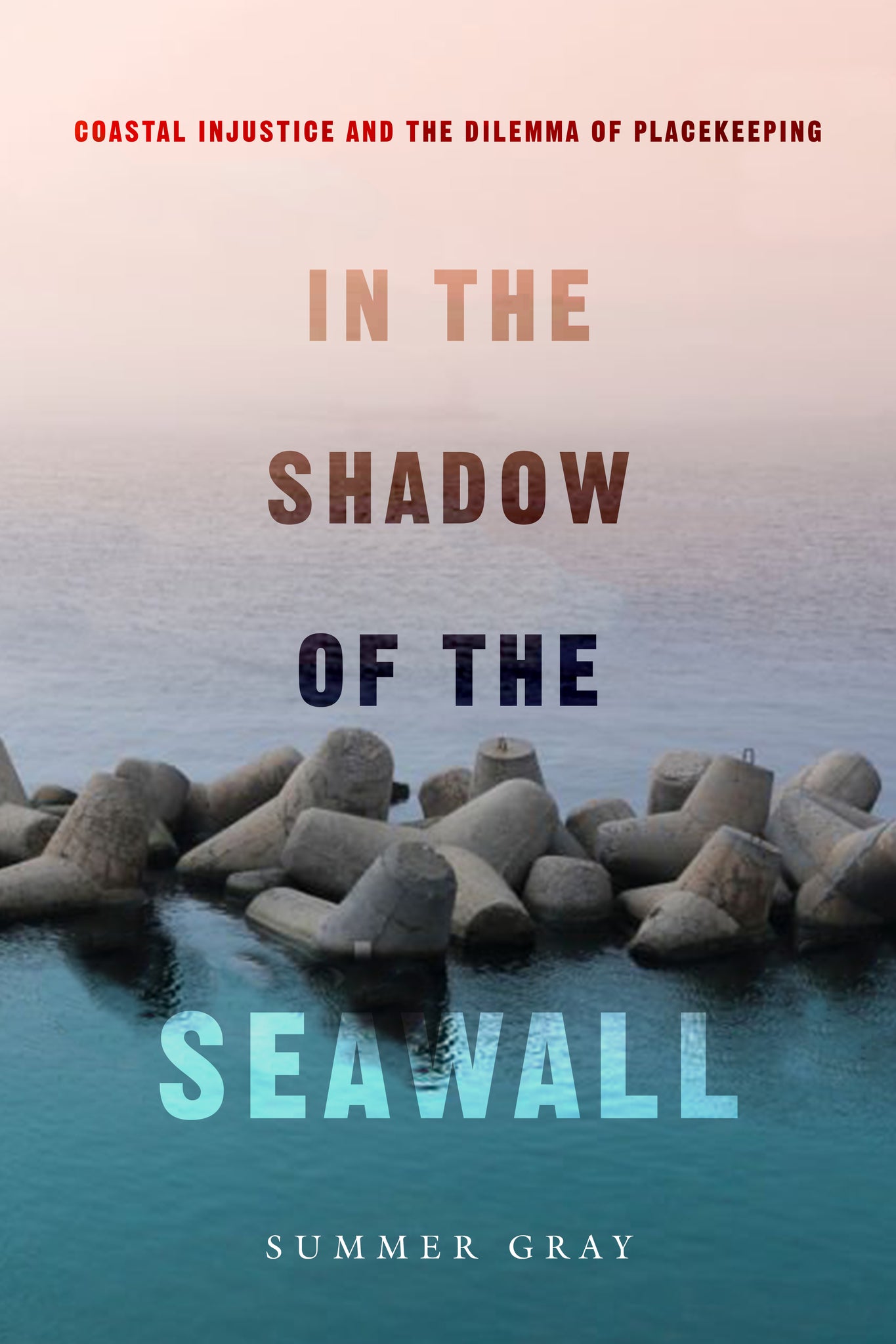Cover image for In the Shadow of the Seawall ISBN 9780520392748