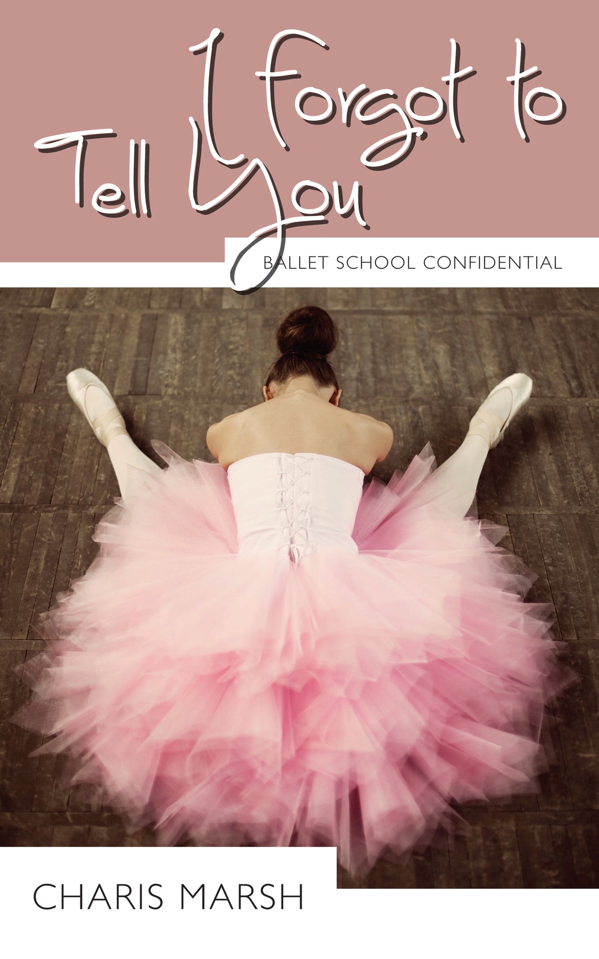 Cover image for I Forgot to Tell You ISBN 9781459704305