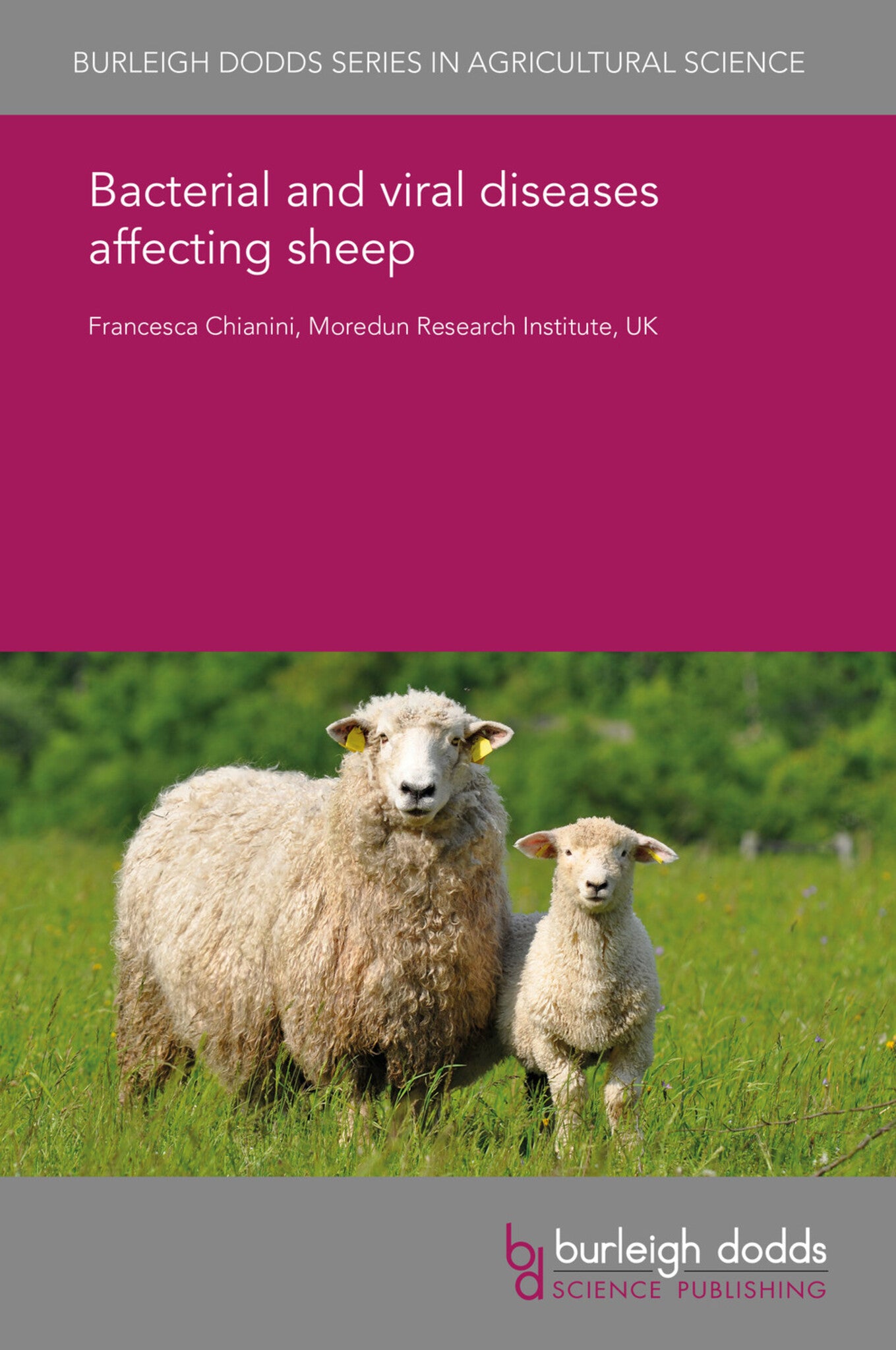 Cover image for Bacterial and viral diseases affecting sheep ISBN 9781838792688
