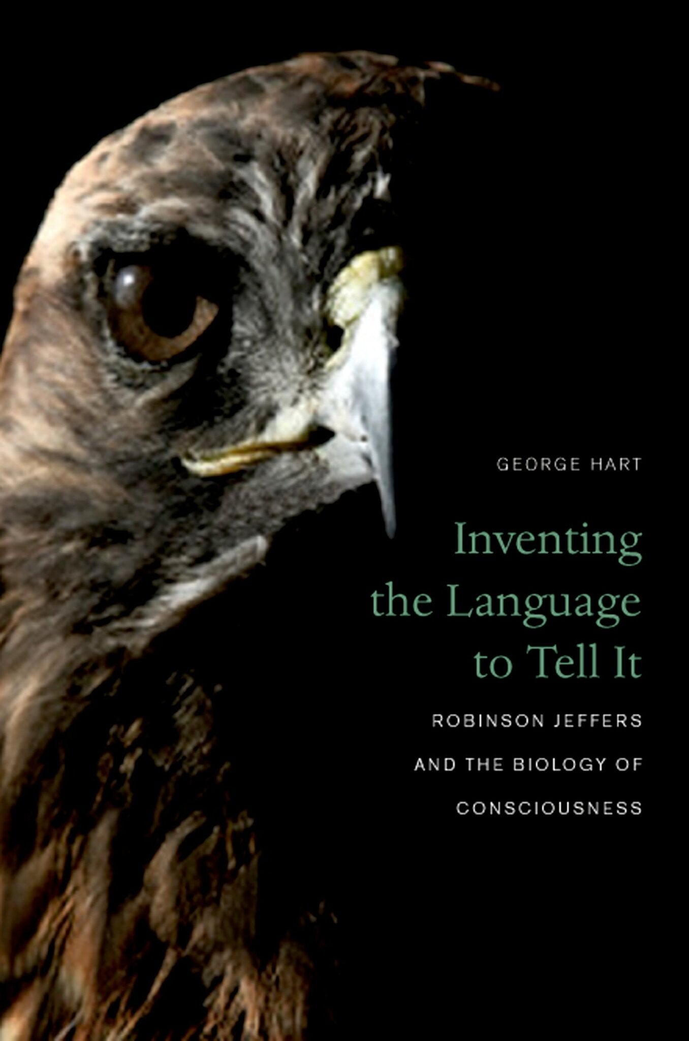 Inventing the Language to Tell It