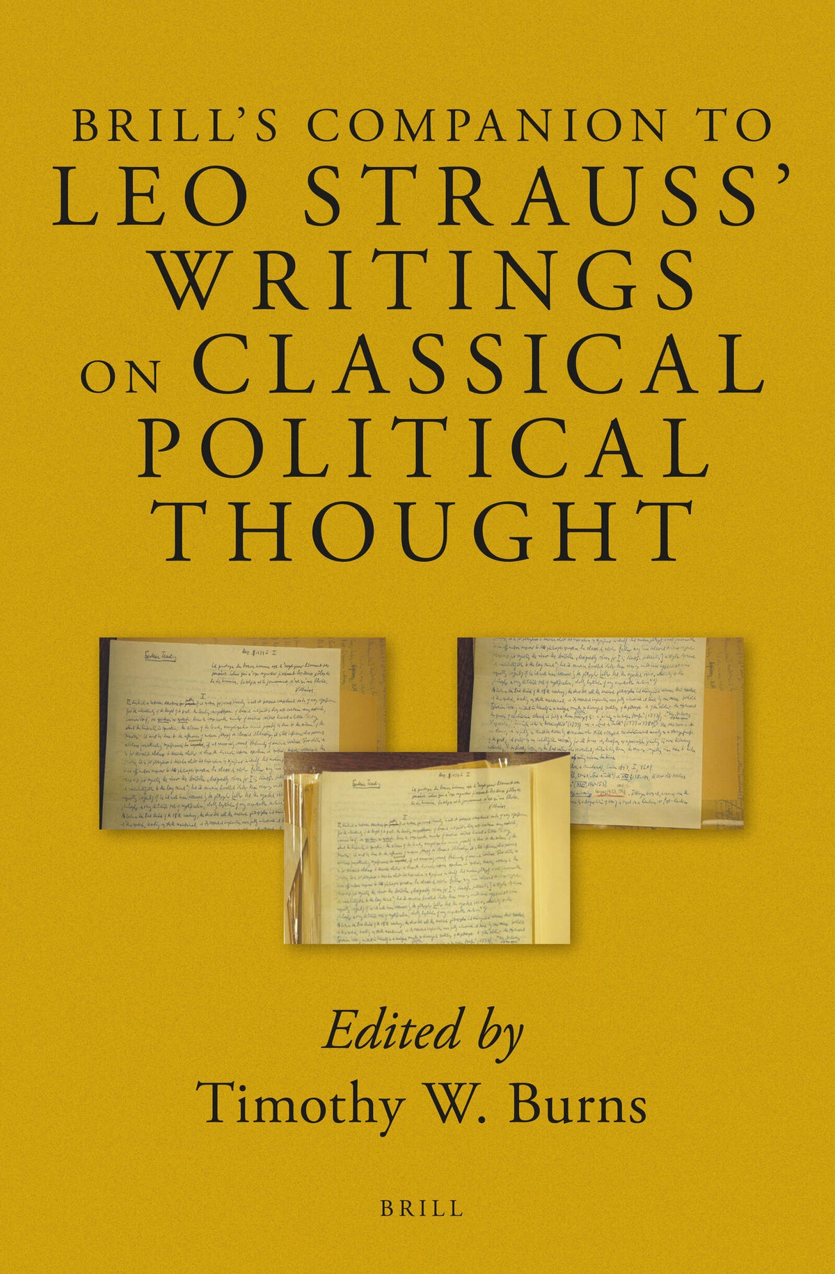 Cover image for Brill's Companion to Leo Strauss' Writings on Classical Political Thought ISBN 9789004243354