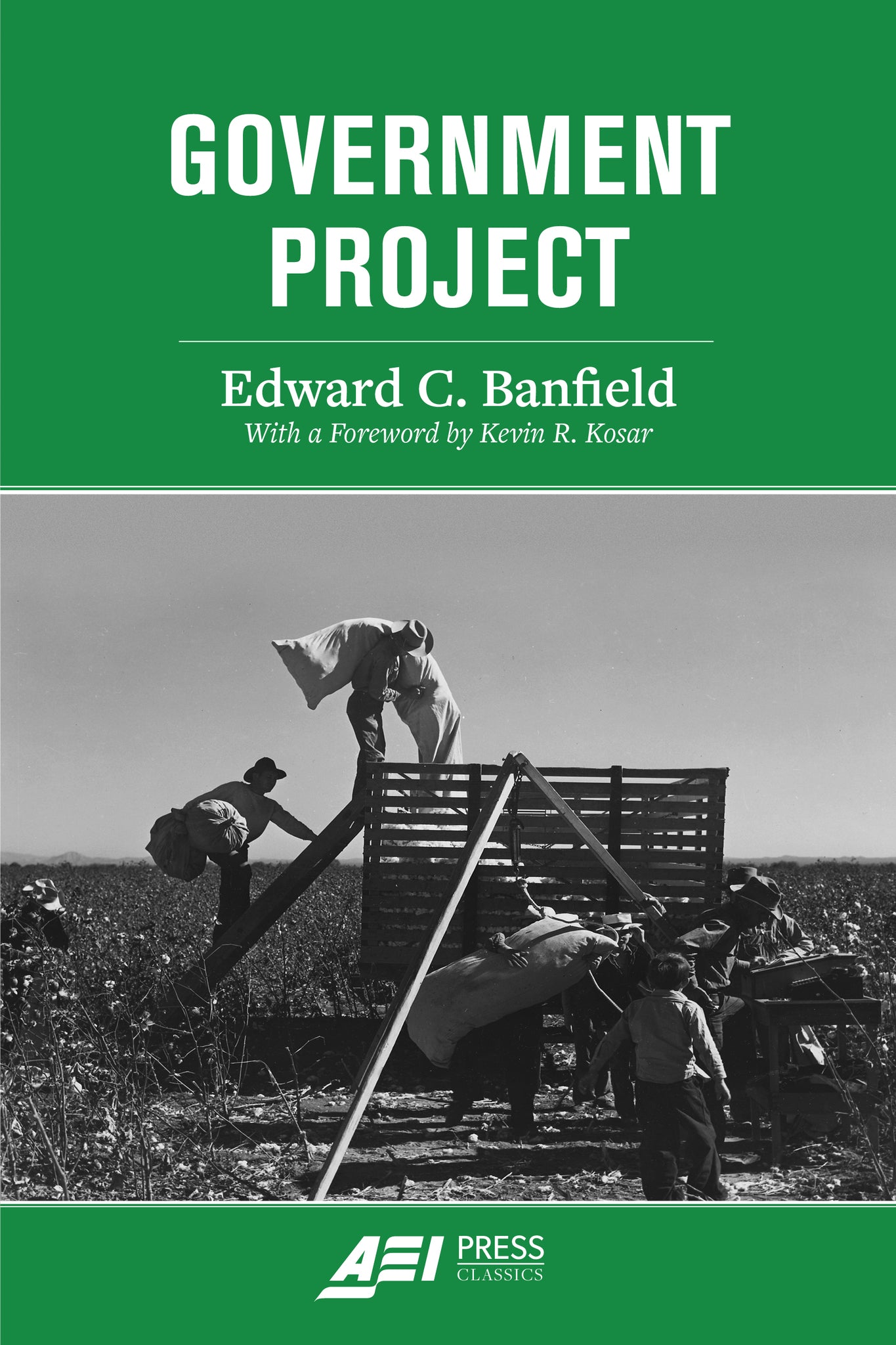 Cover image for Government Project ISBN 9780844750651