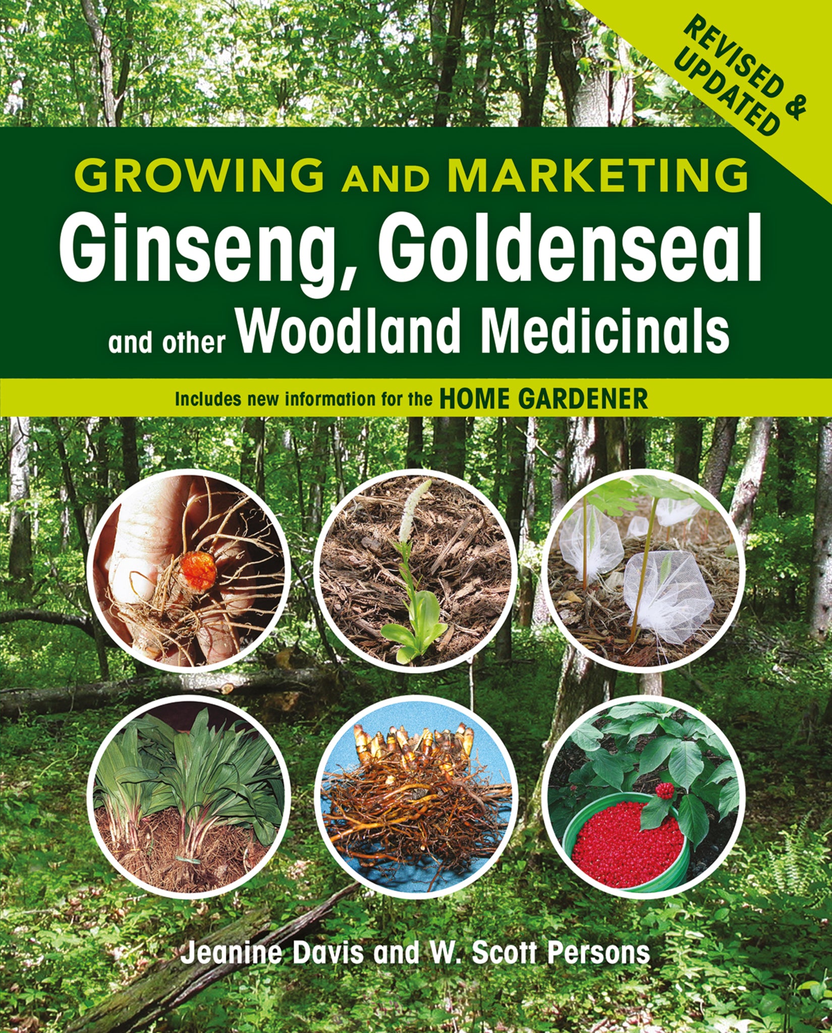 Cover image for Growing and Marketing Ginseng, Goldenseal and other Woodland Medicinals ISBN 9780865717664