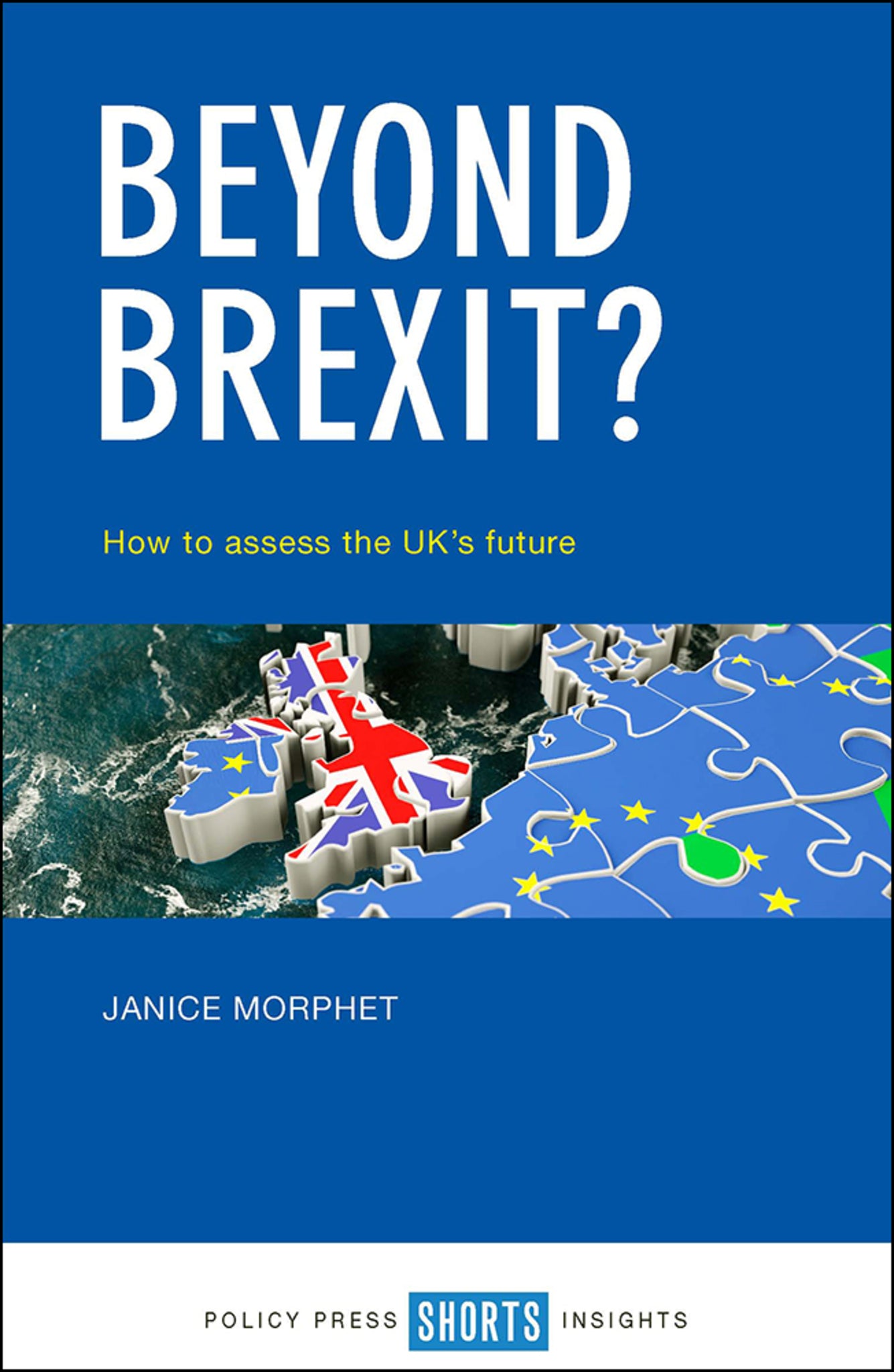 Cover image for Beyond Brexit? ISBN 9781447339243