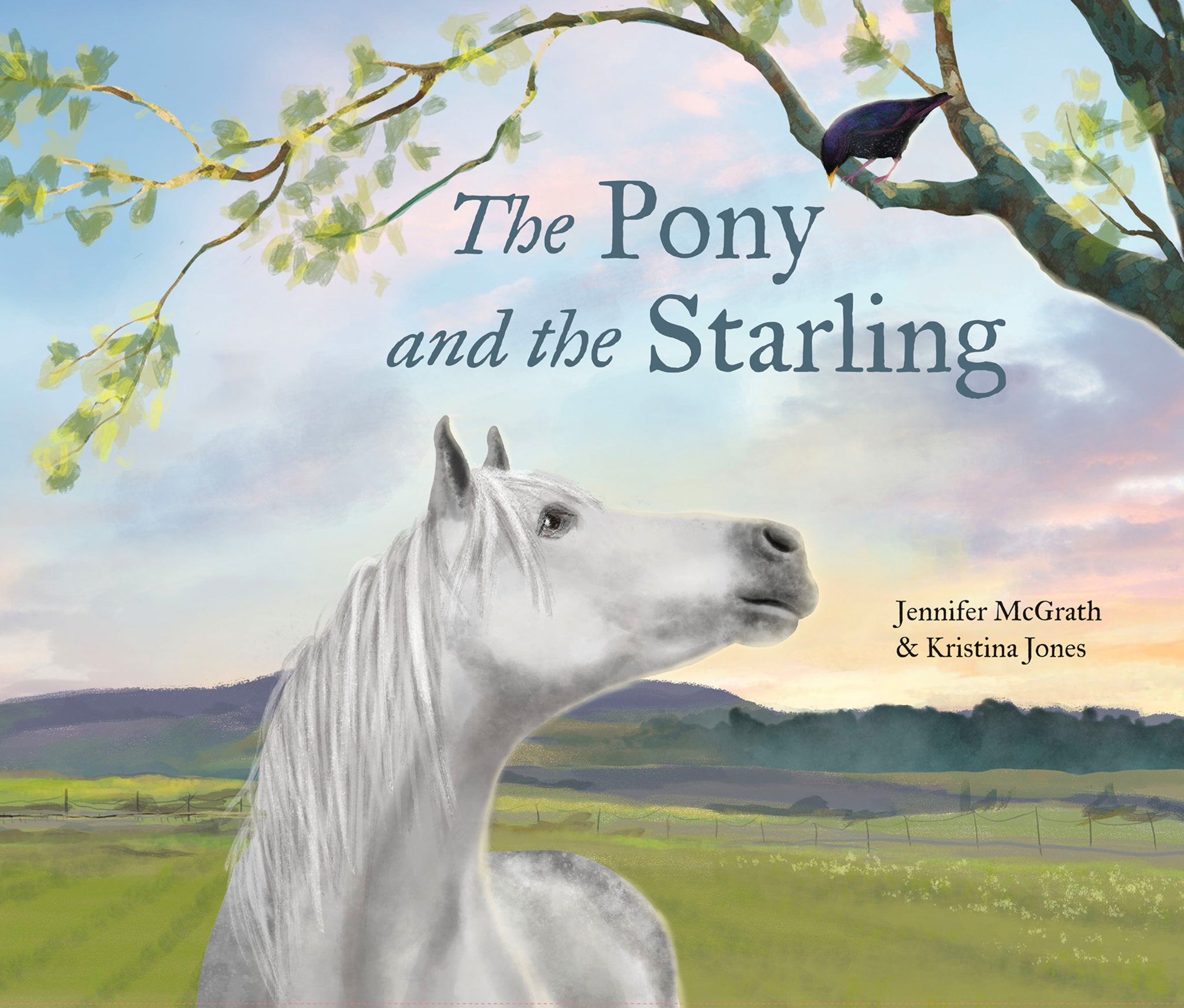 Cover image for The Pony and the Starling ISBN 9781773069791