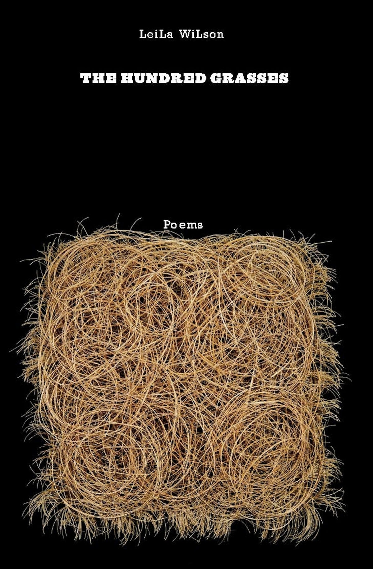 Cover image for The Hundred Grasses ISBN 9781571314475