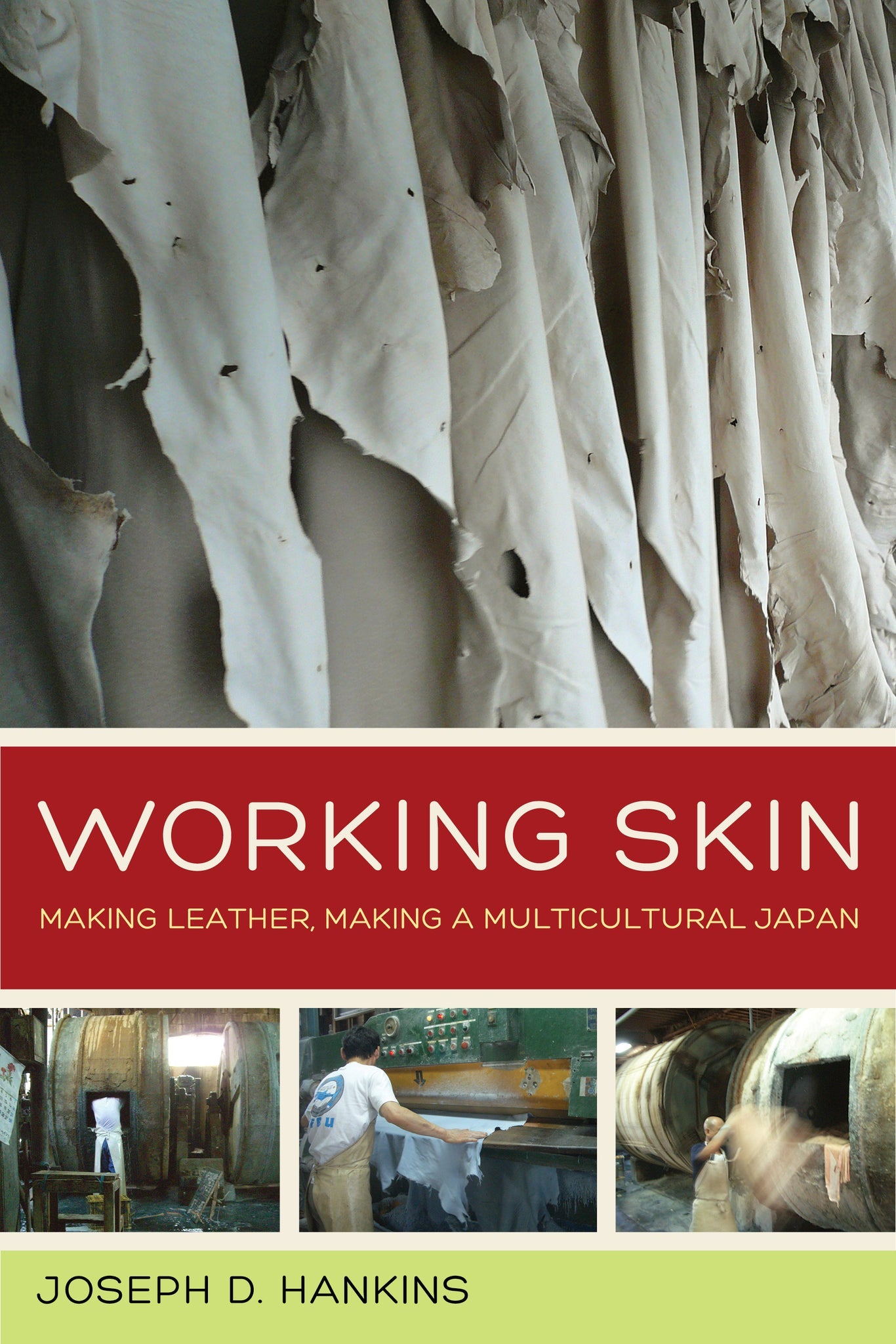 Cover image for Working Skin ISBN 9780520959163