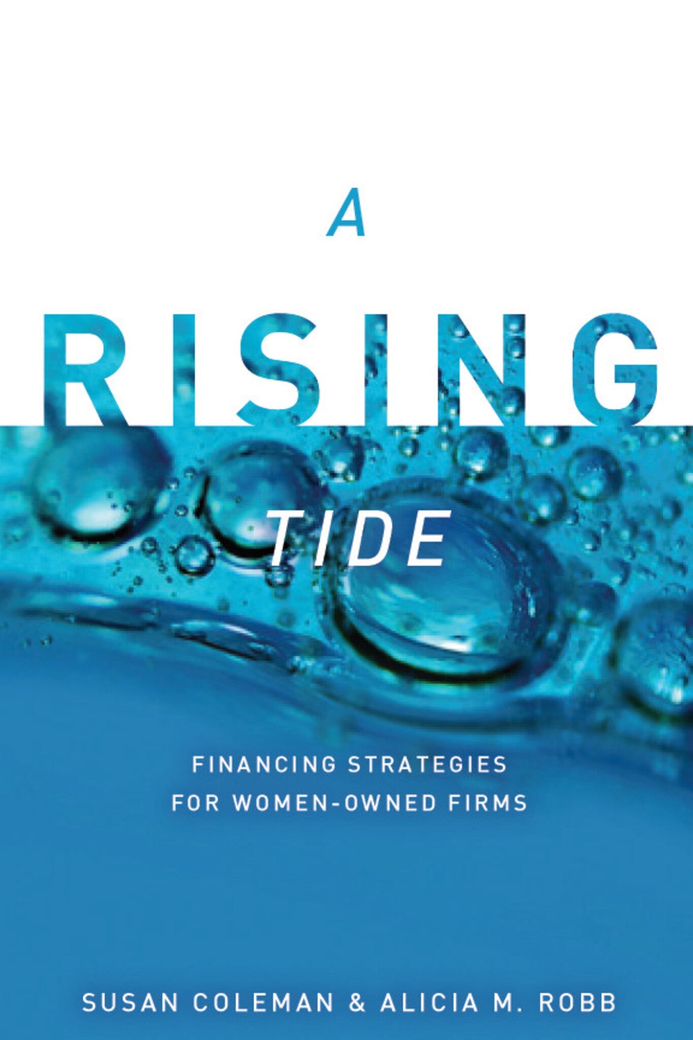 Cover image for A Rising Tide ISBN 9780804773065