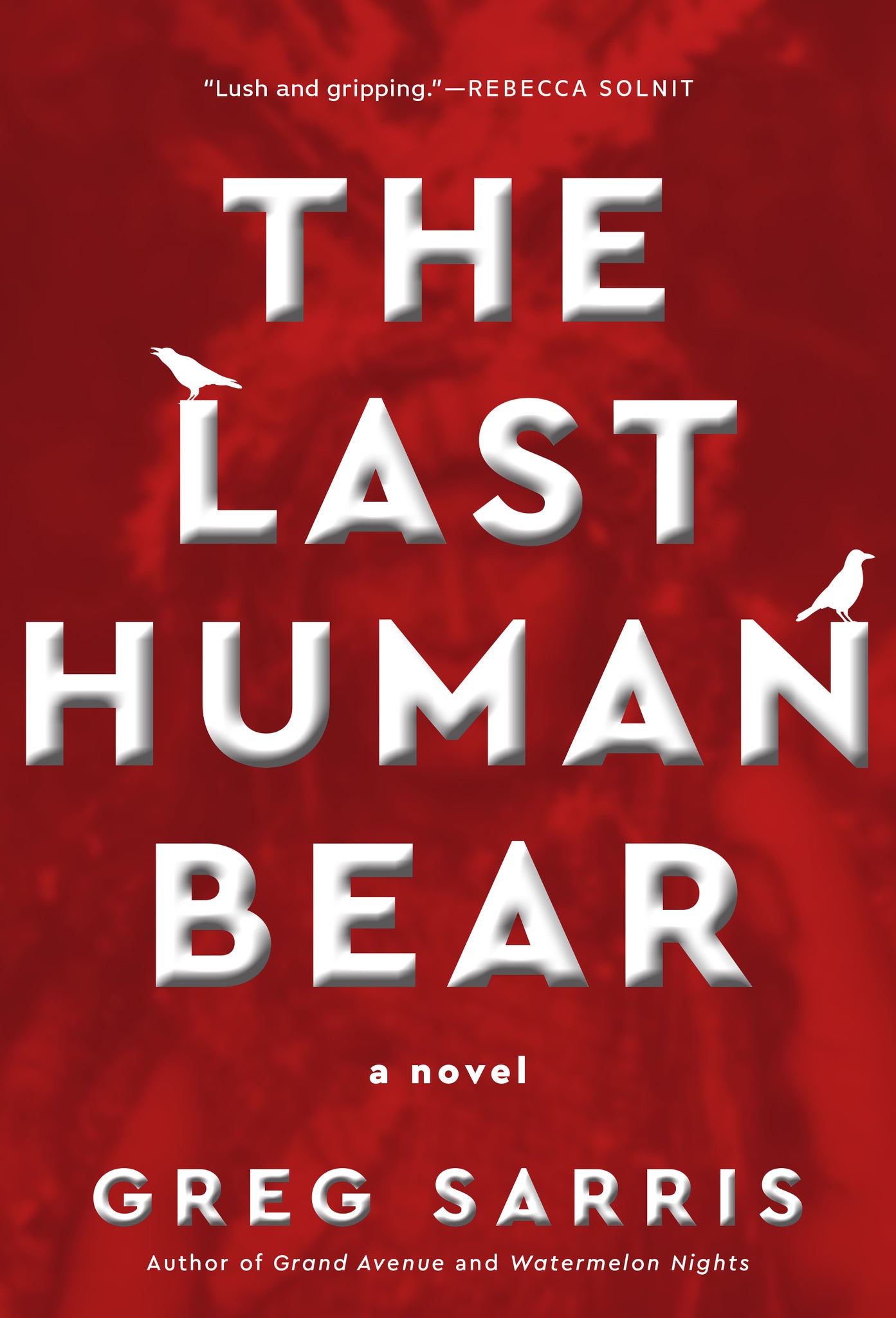 Cover image for The Last Human Bear ISBN 9781597147071