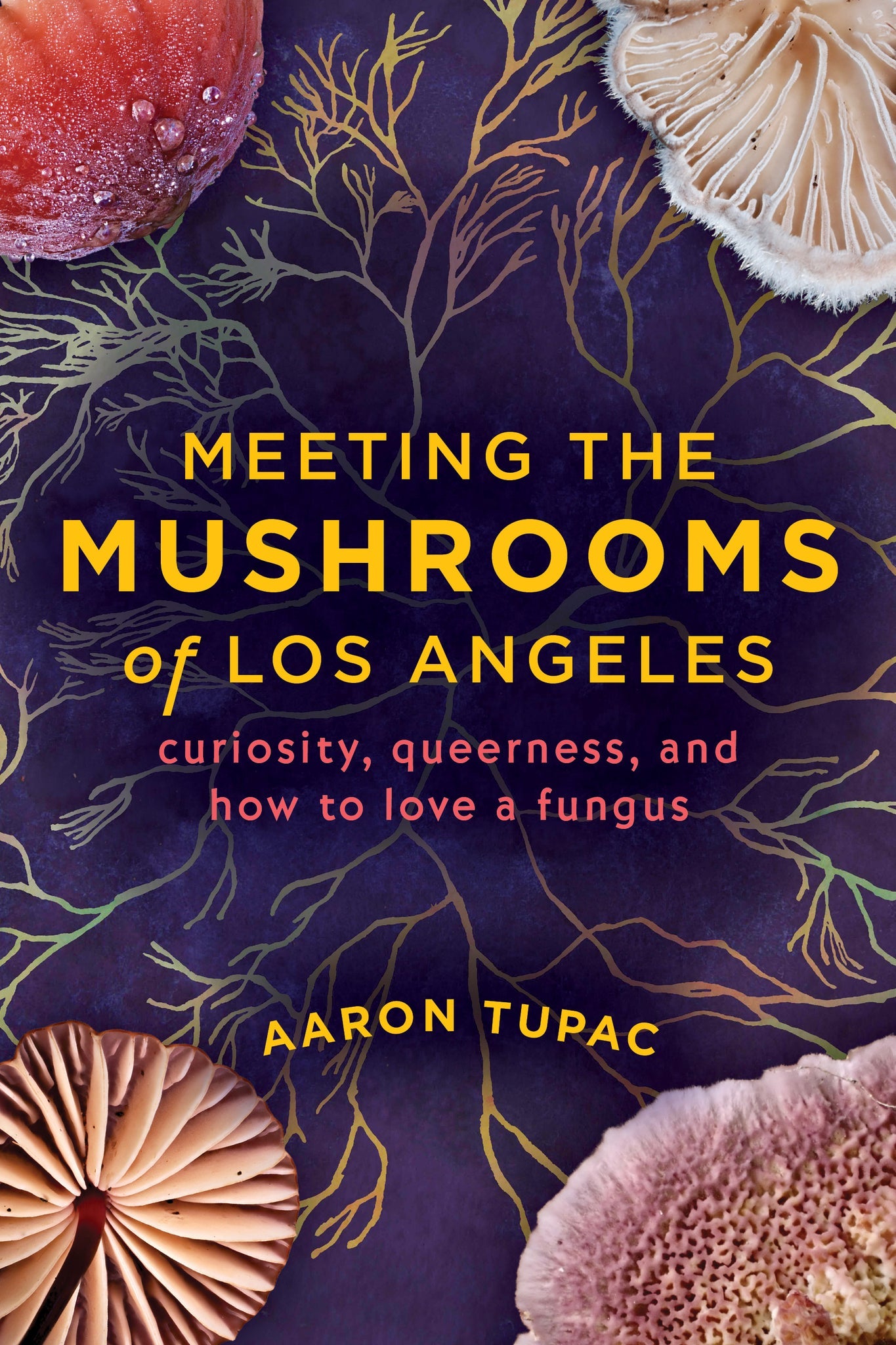Cover image for Meeting the Mushrooms of Los Angeles ISBN 9781597147309