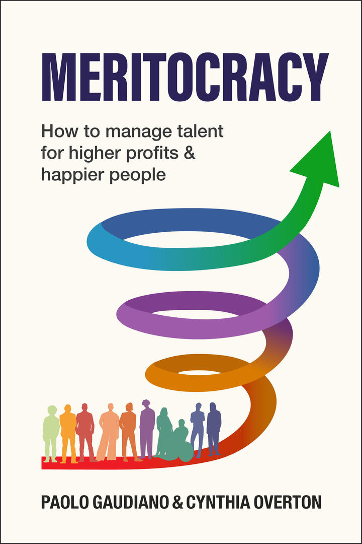 Cover image for MERITOCRACY ISBN 9781788609449