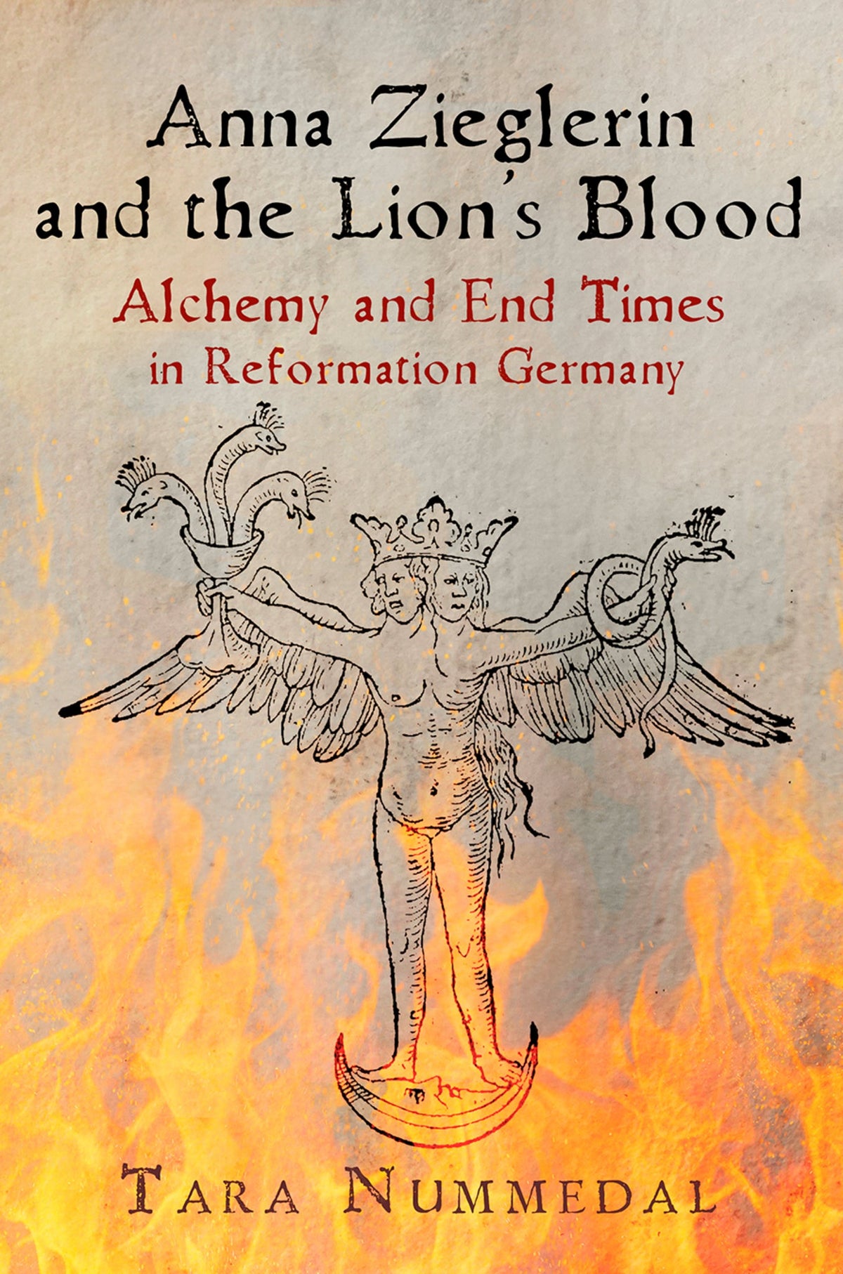 Cover image for Anna Zieglerin and the Lion's Blood ISBN 9781512825572