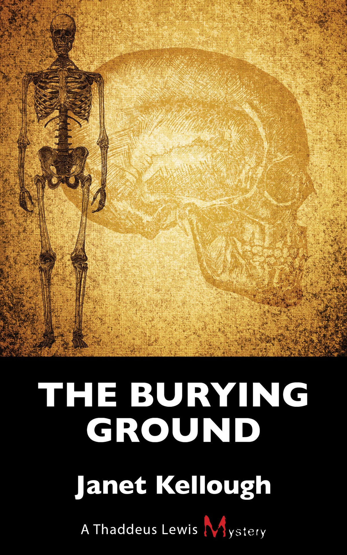 Cover image for The Burying Ground ISBN 9781459724709
