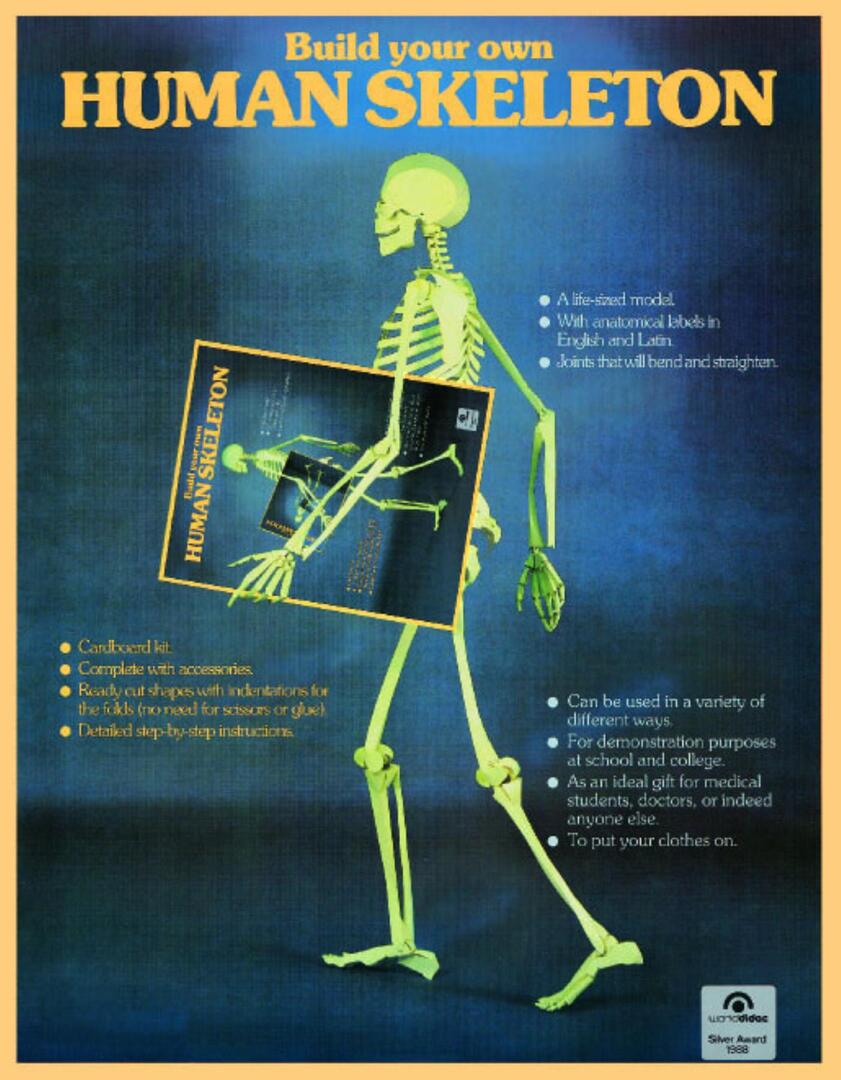 Cover image for Human Skeleton ISBN 9783822895016