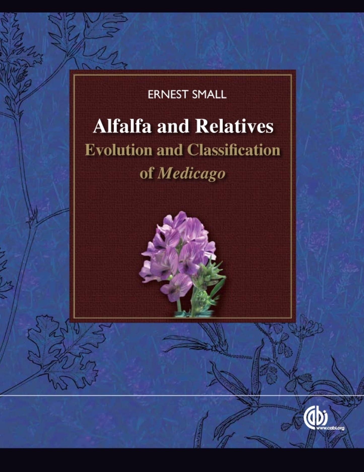 Alfalfa and Relatives