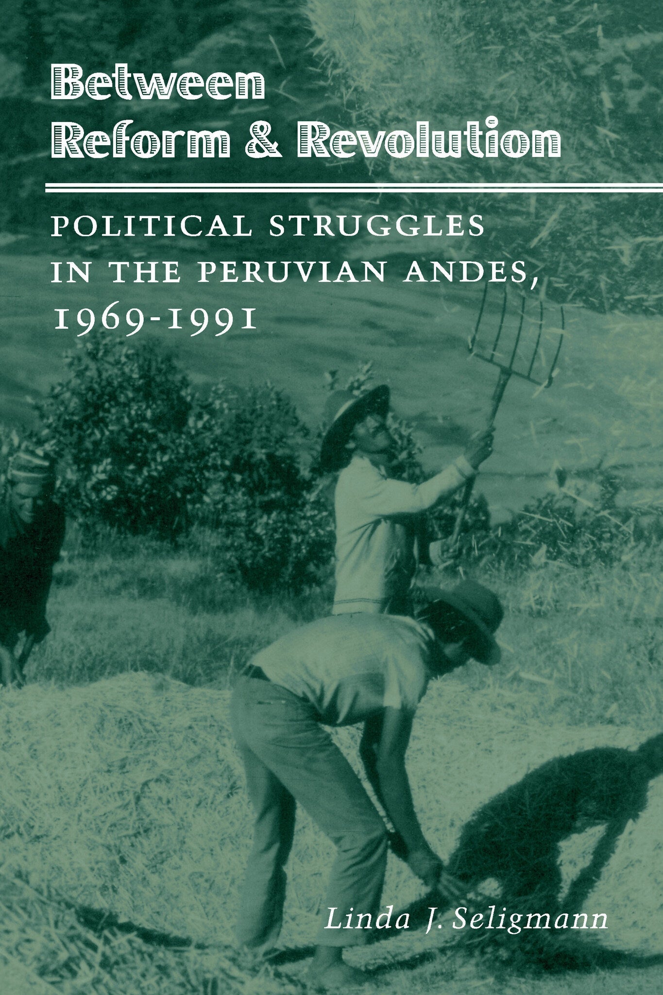 Cover image for Between Reform and Revolution ISBN 9780804724425