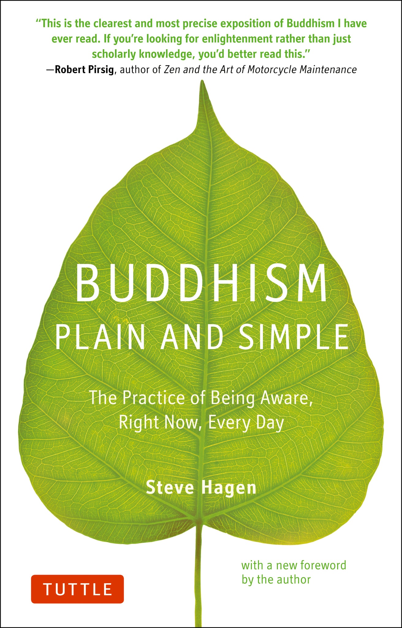 Cover image for Buddhism Plain and Simple ISBN 9780804851183
