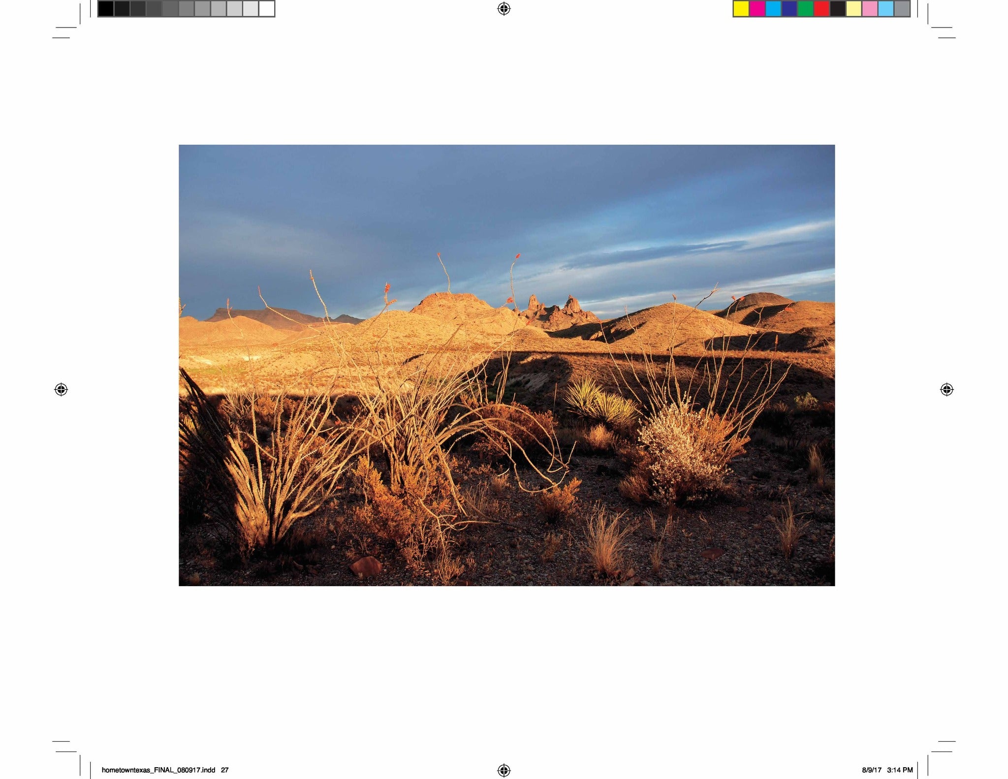 Cover image for Hometown Texas ISBN 9781595343208