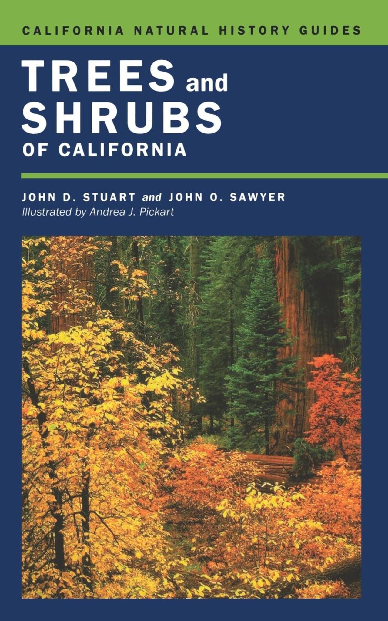 Cover image for Trees and Shrubs of California ISBN 9780520935297