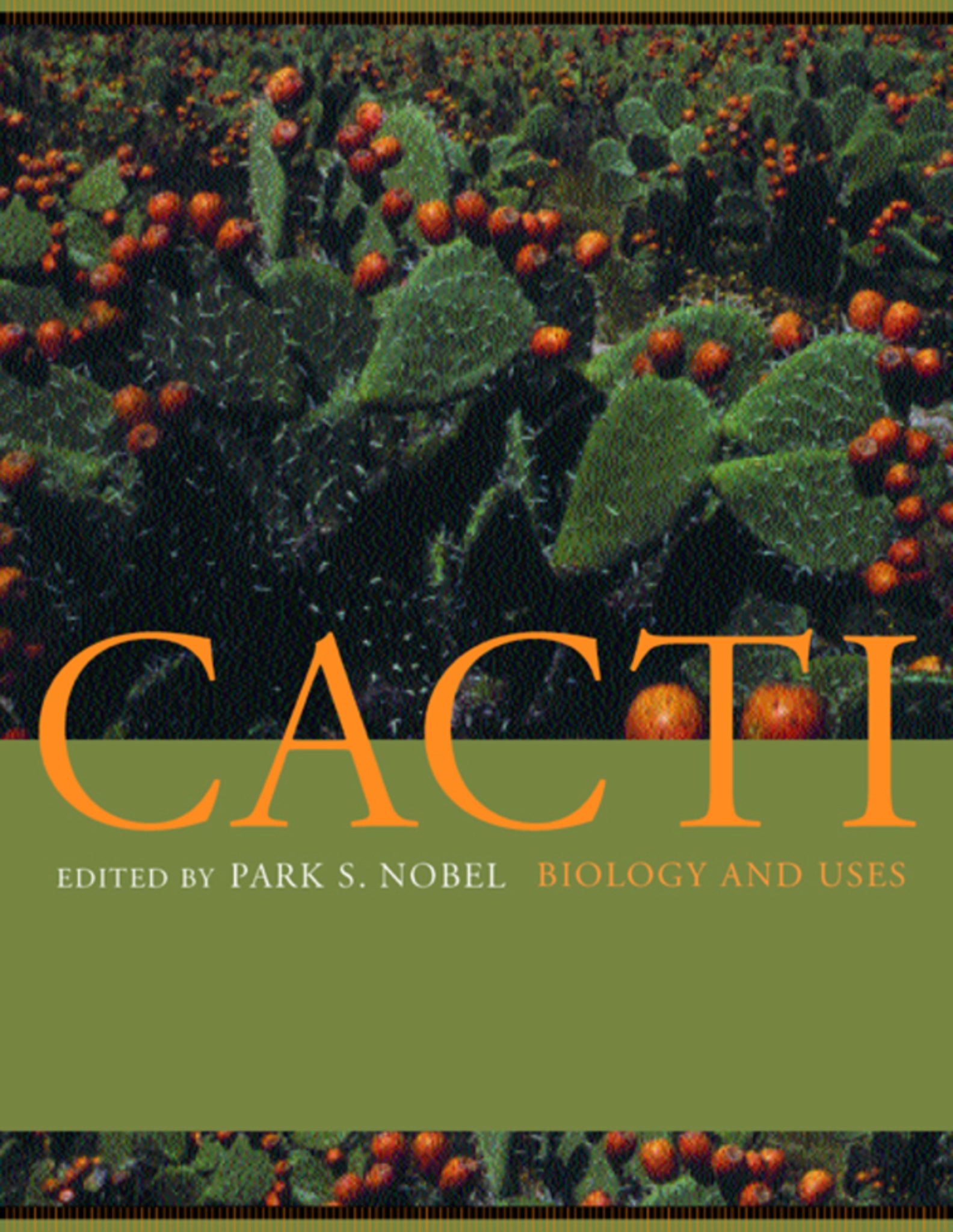 Cover image for Cacti ISBN 9780520231573