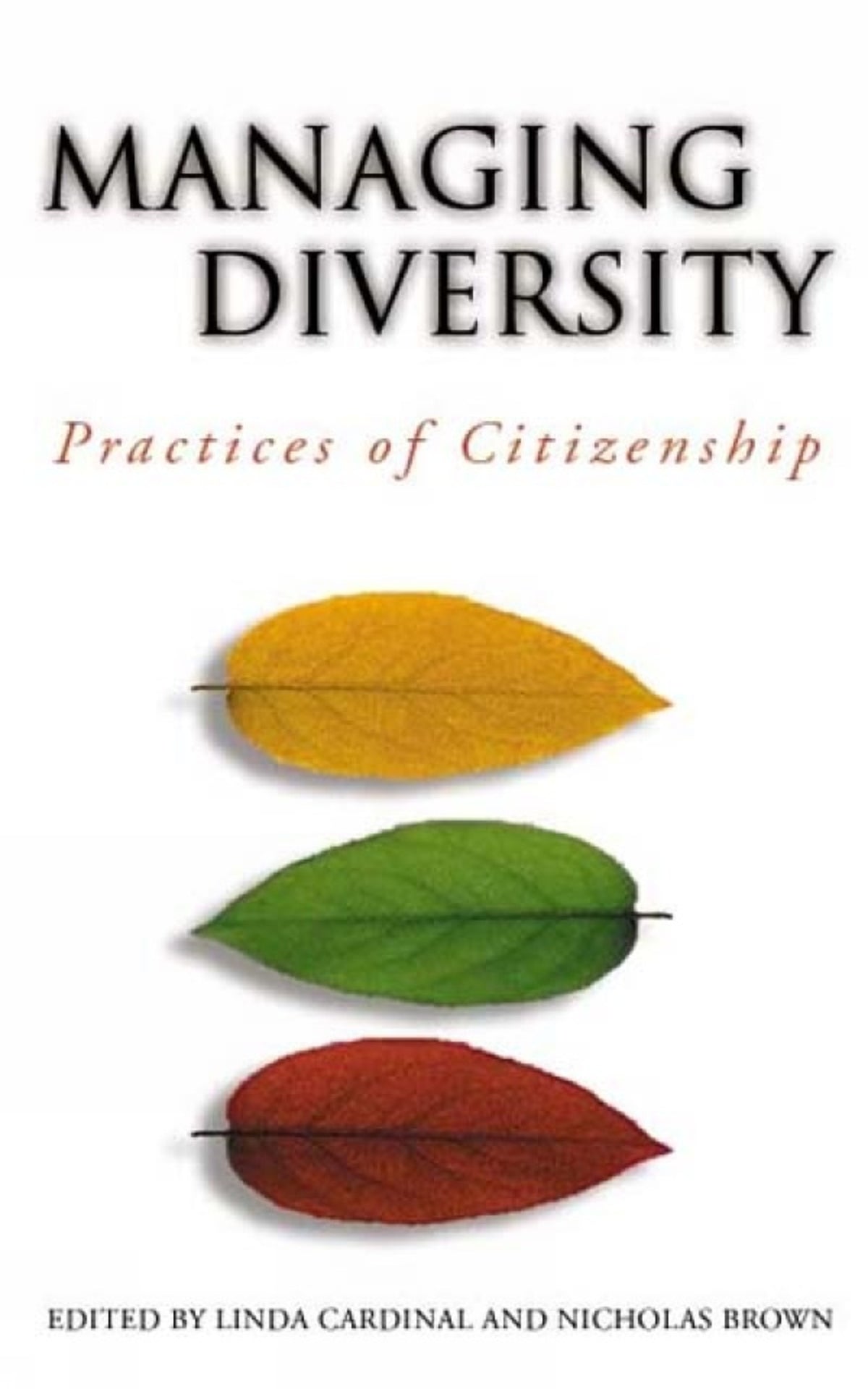 Cover image for Managing Diversity ISBN 9780776606545