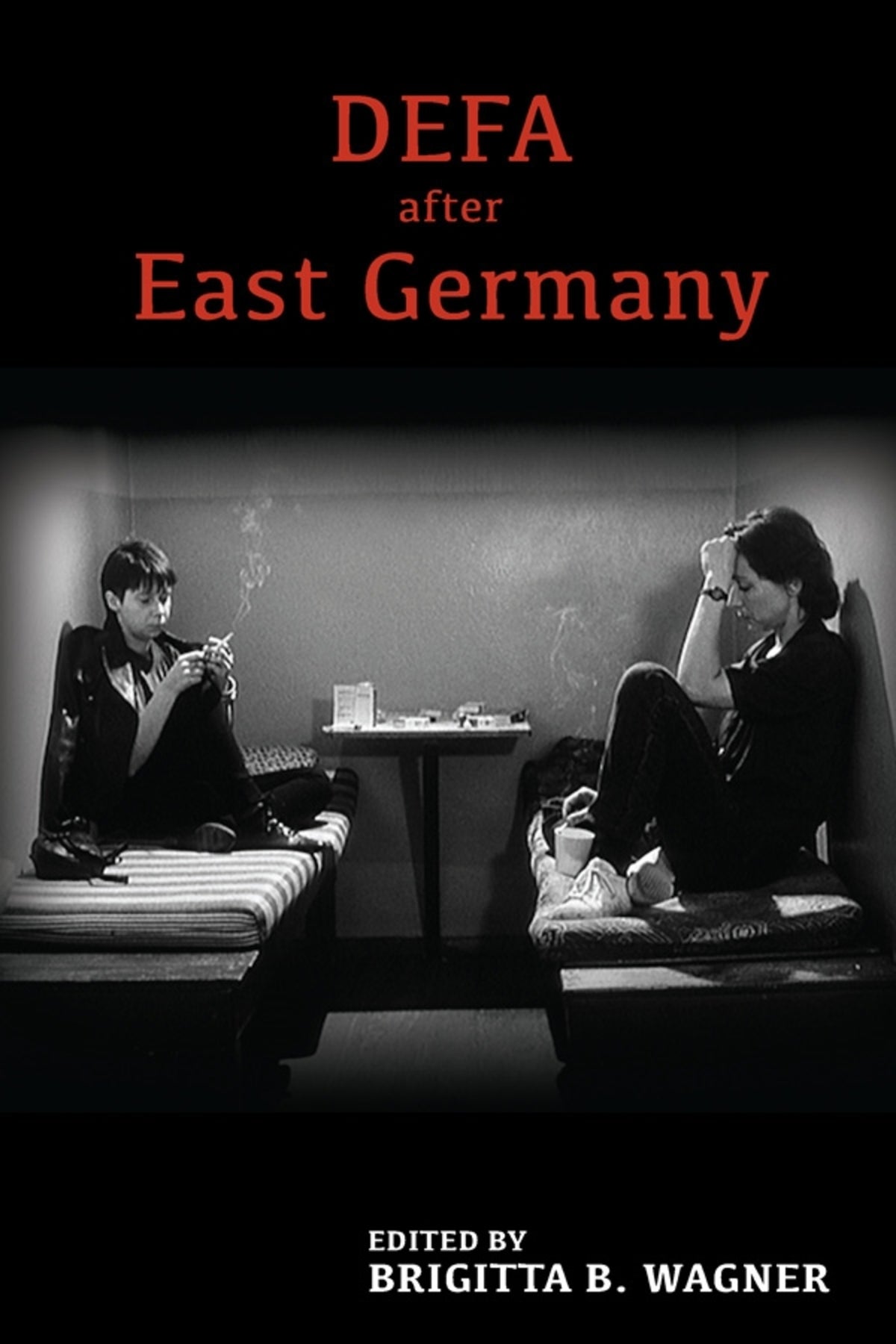 Cover image for DEFA after East Germany ISBN 9781571135827