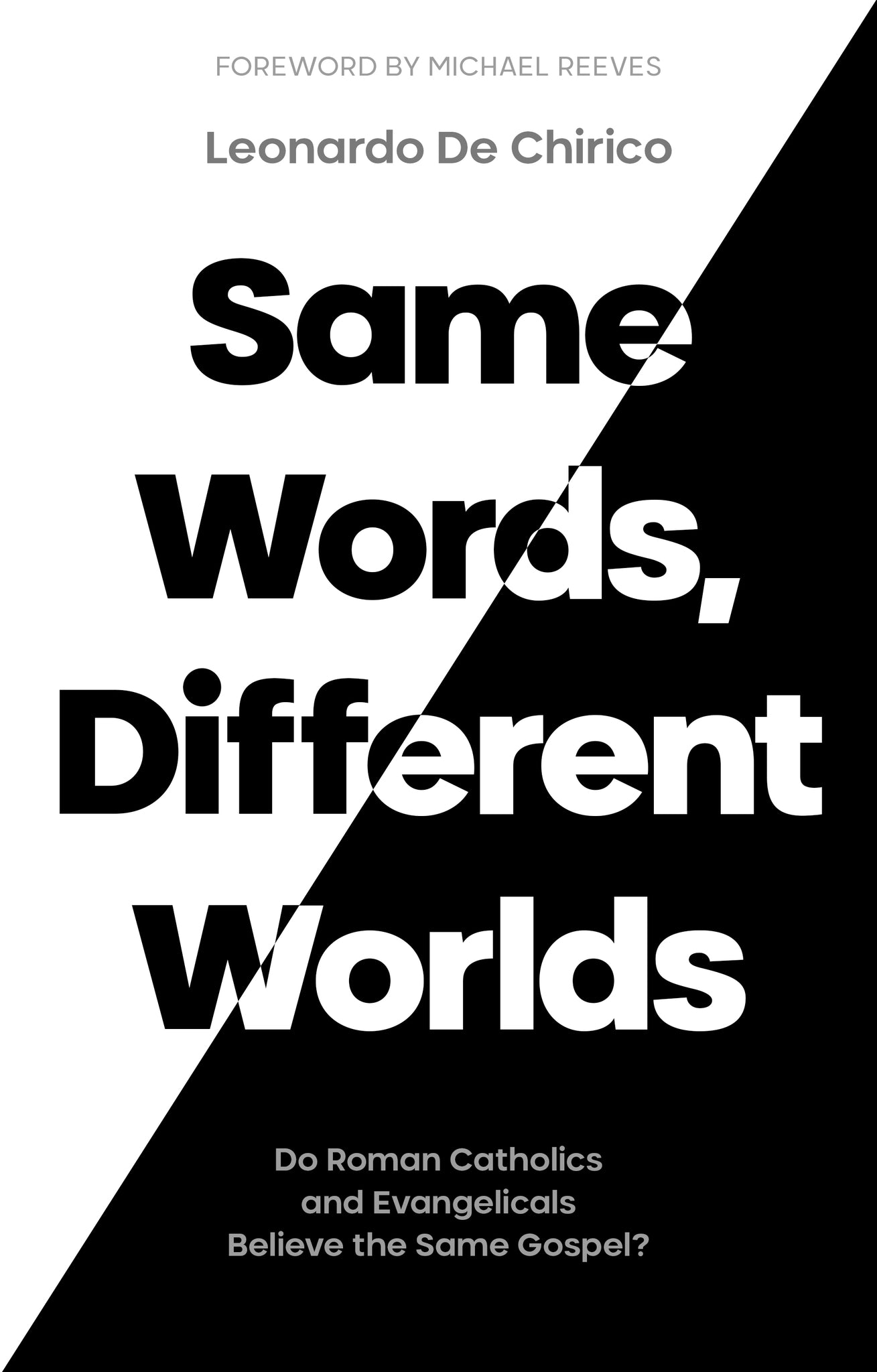 Cover image for Same Words, Different Worlds ISBN 9781789743616