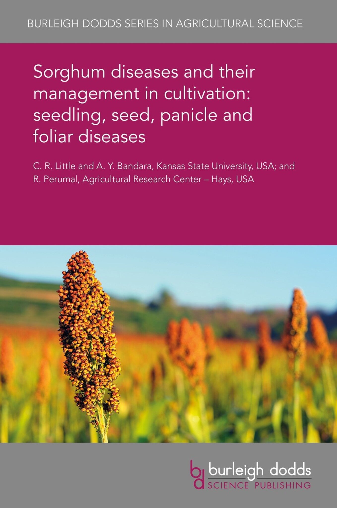 Cover image for Sorghum diseases and their management in cultivation: seedling, seed, panicle and foliar diseases ISBN 9781838795436