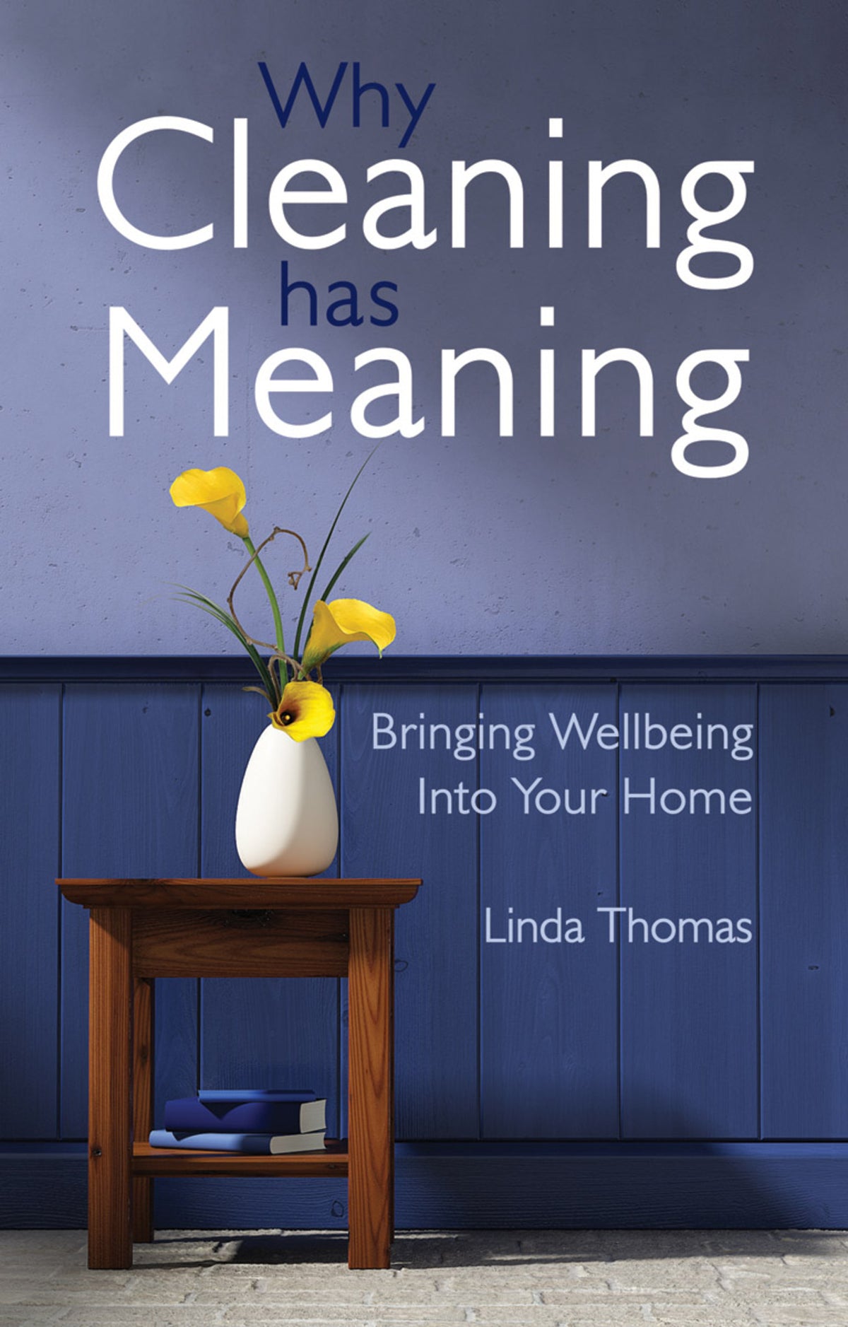 Cover image for Why Cleaning Has Meaning ISBN 9781782500506
