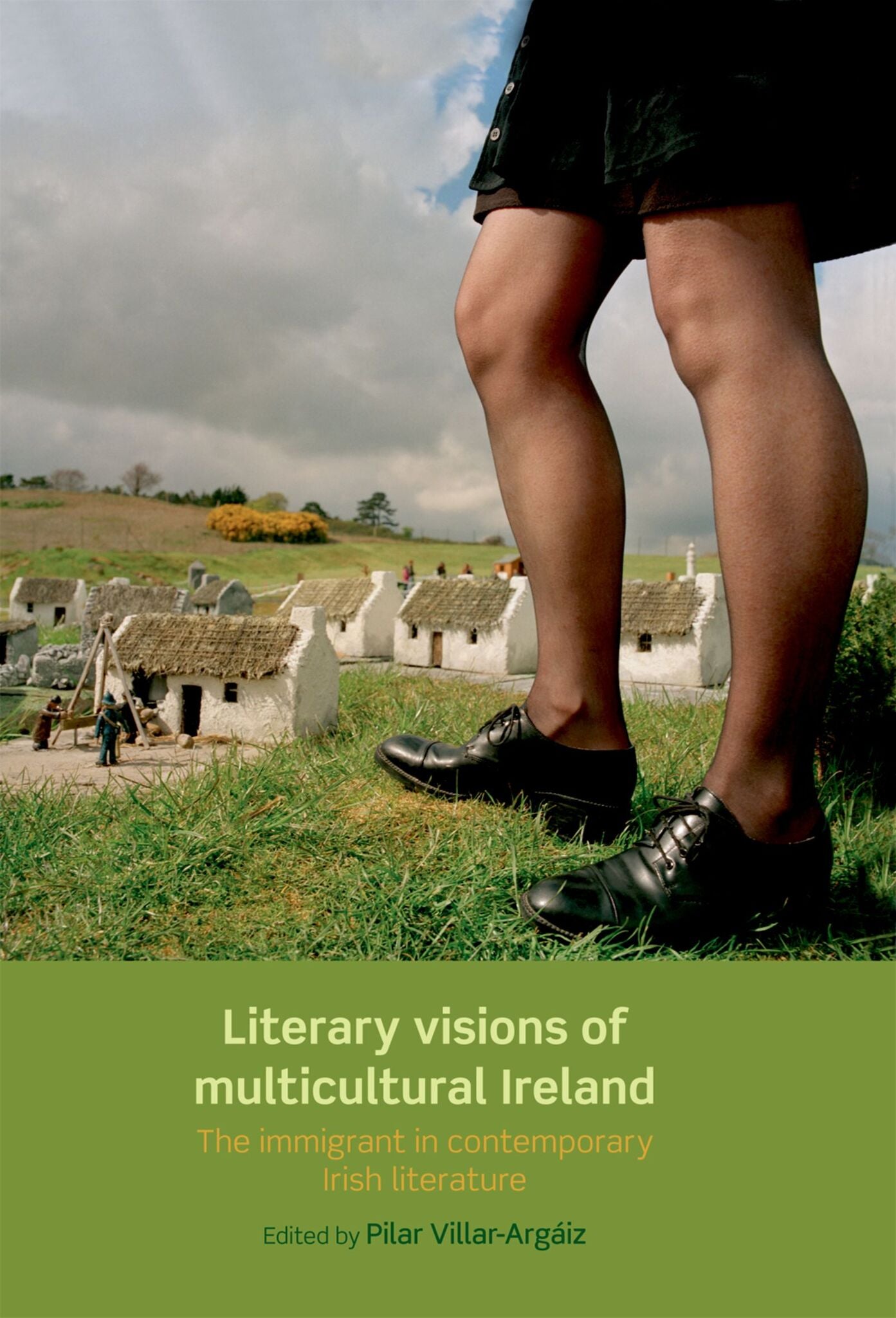 Literary visions of multicultural Ireland