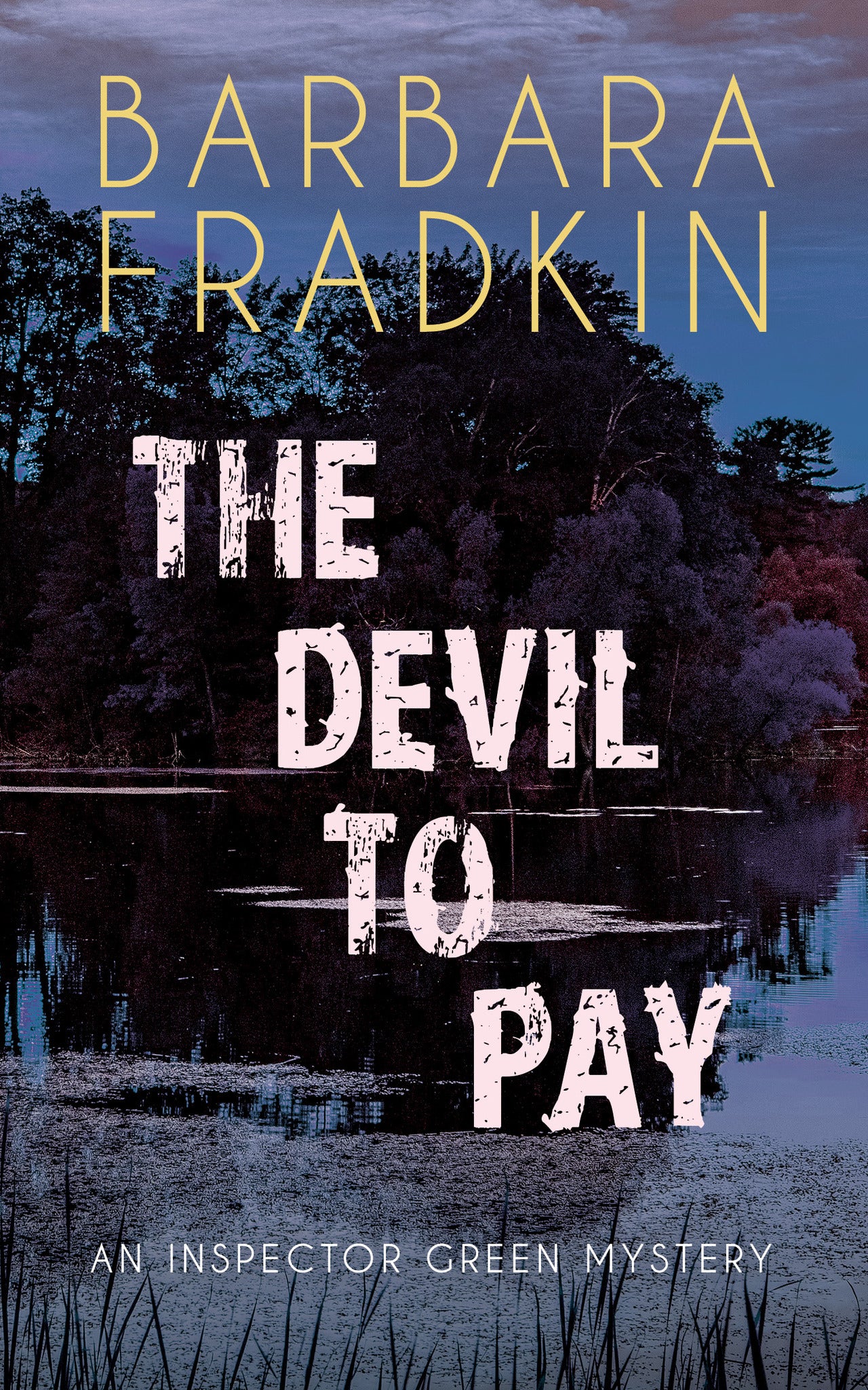 Cover image for The Devil to Pay ISBN 9781459743847