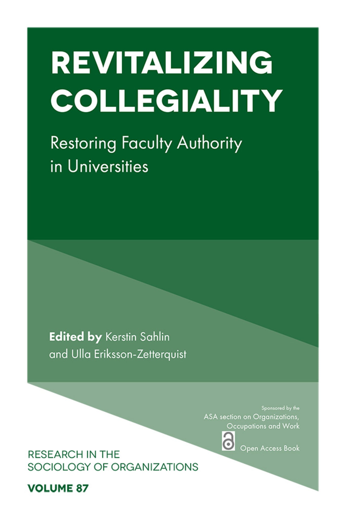 Cover image for Revitalizing Collegiality ISBN 9781804558218