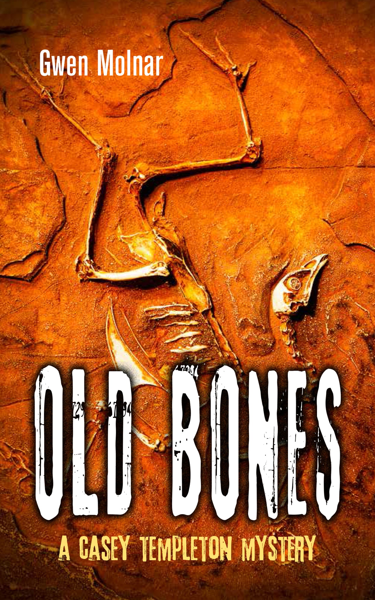 Cover image for Old Bones ISBN 9781459714045