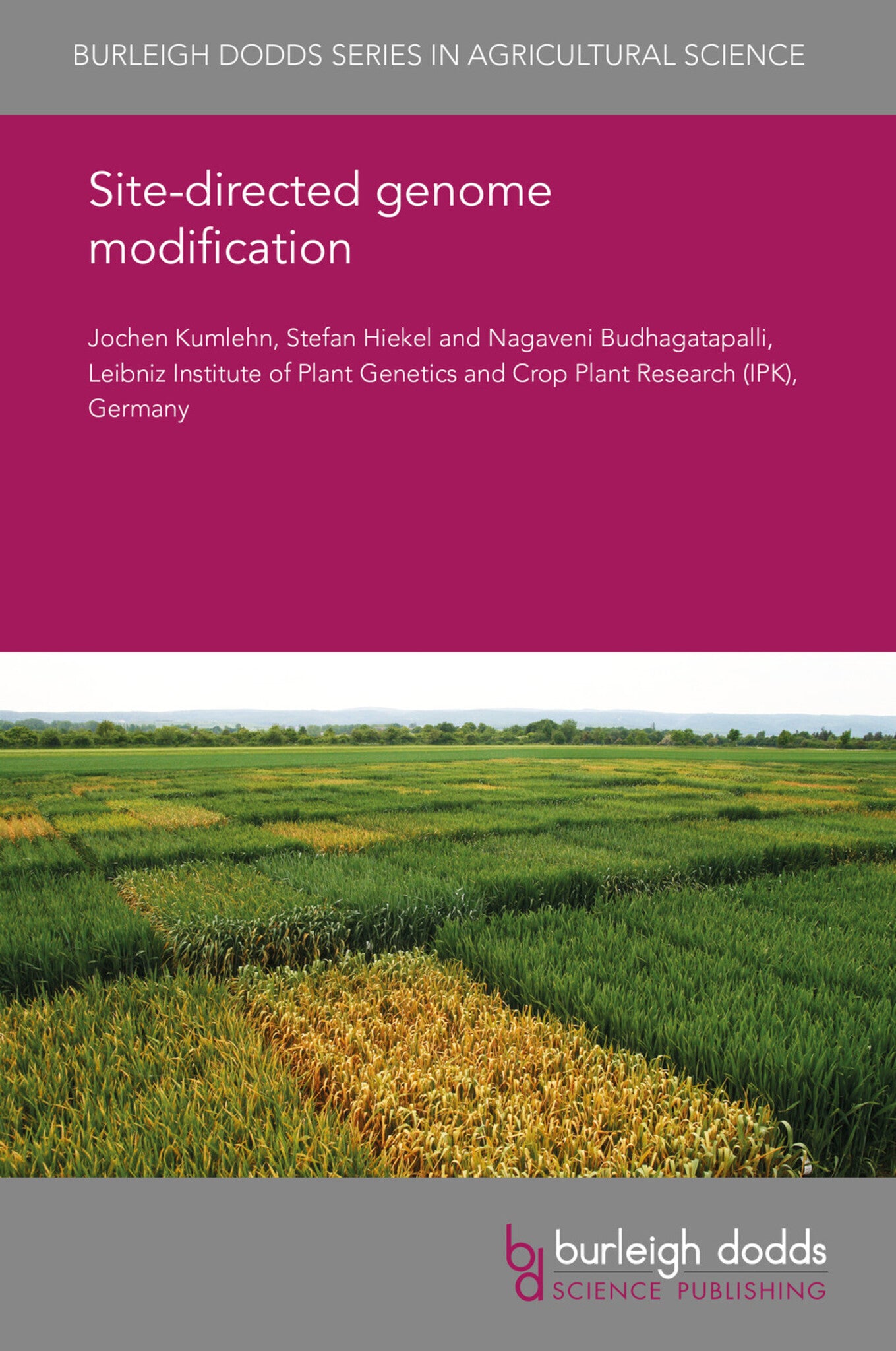 Cover image for Site-directed genome modification in barley and wheat ISBN 9781838798390